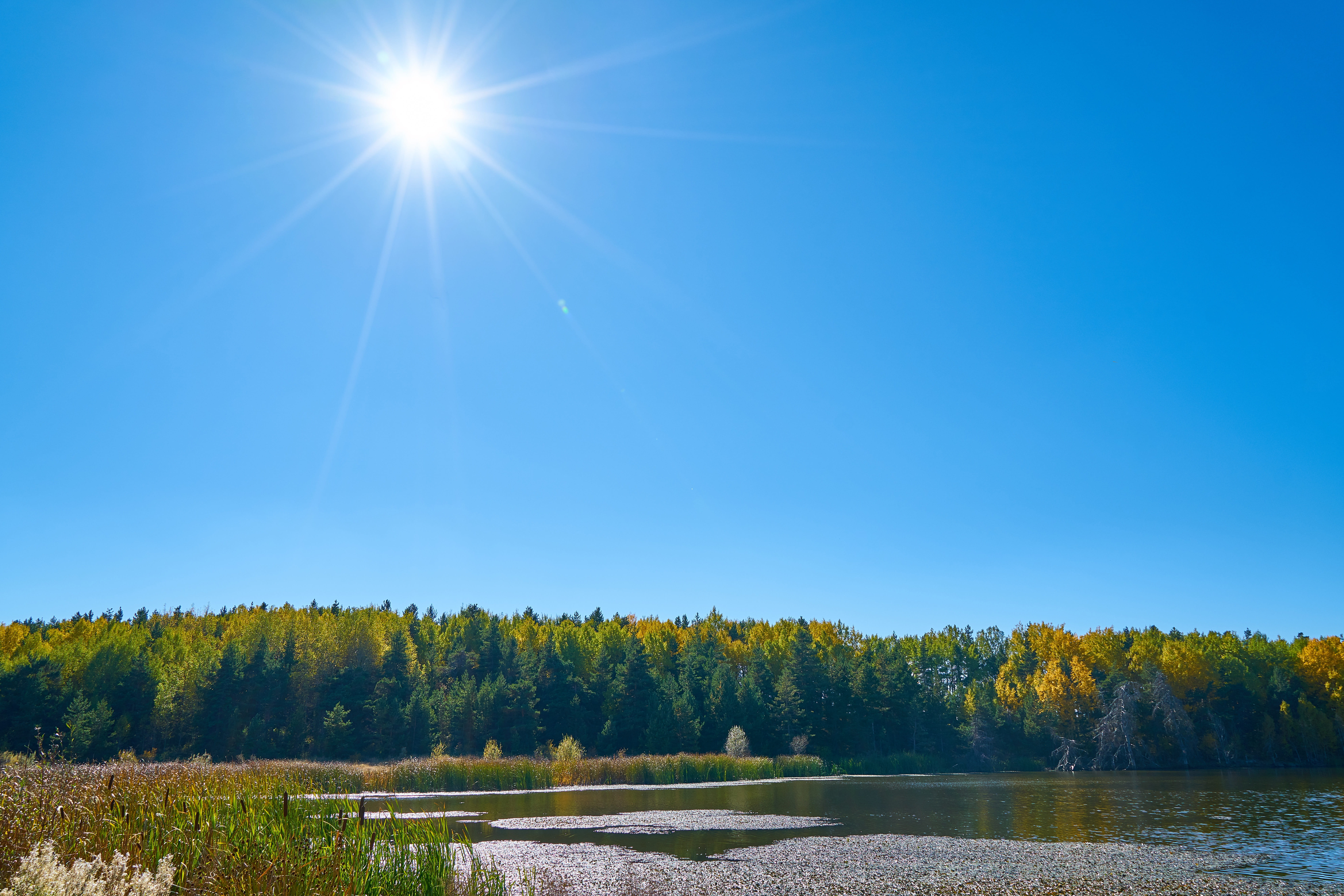 clear sky, composition, nobody, backgrounds, 8K, lake, beauty in nature, green, scenics - nature, water, bright, background, tree, autumn, blue, no people, HD Wallpaper