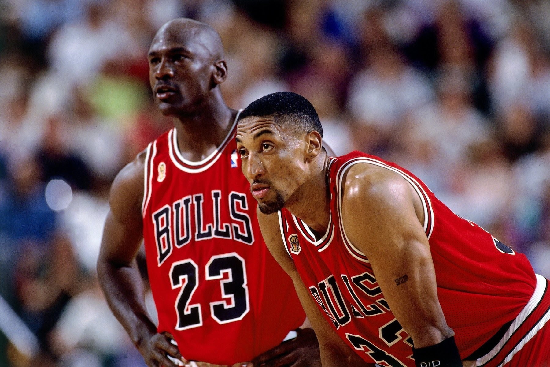 athlete, Chicago bulls, Basketball, sportsman, Scottie pippen, adult, men, basketball player, waist up, effort, challenge, young men, clothing, rivalry, HD Wallpaper