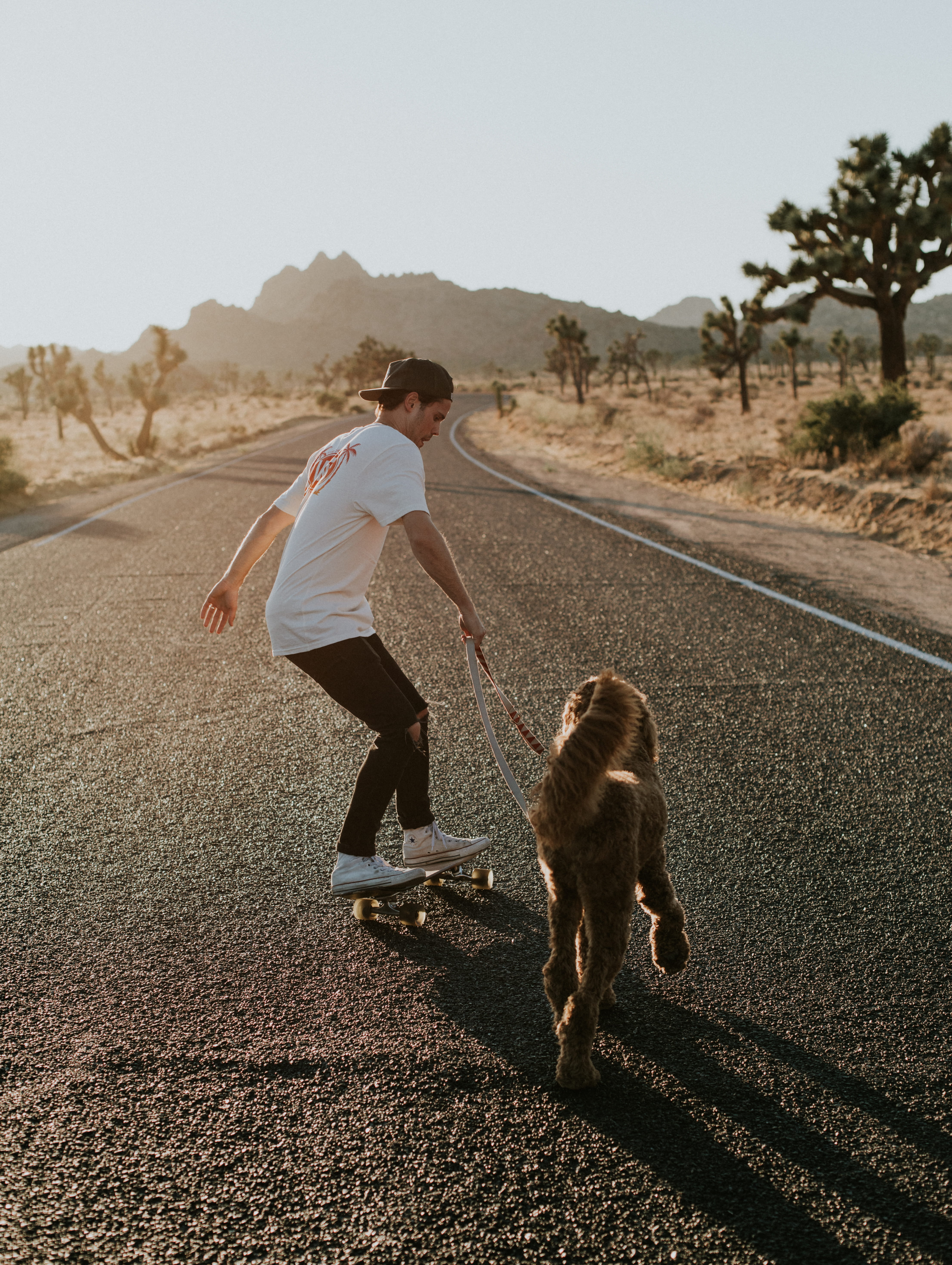 females, women, love, caucasian Ethnicity, people, walkies, daytime, walking, joshua tree, board, day, copy Space, exercising, road, tree, desert, nature, Phone HD Wallpaper