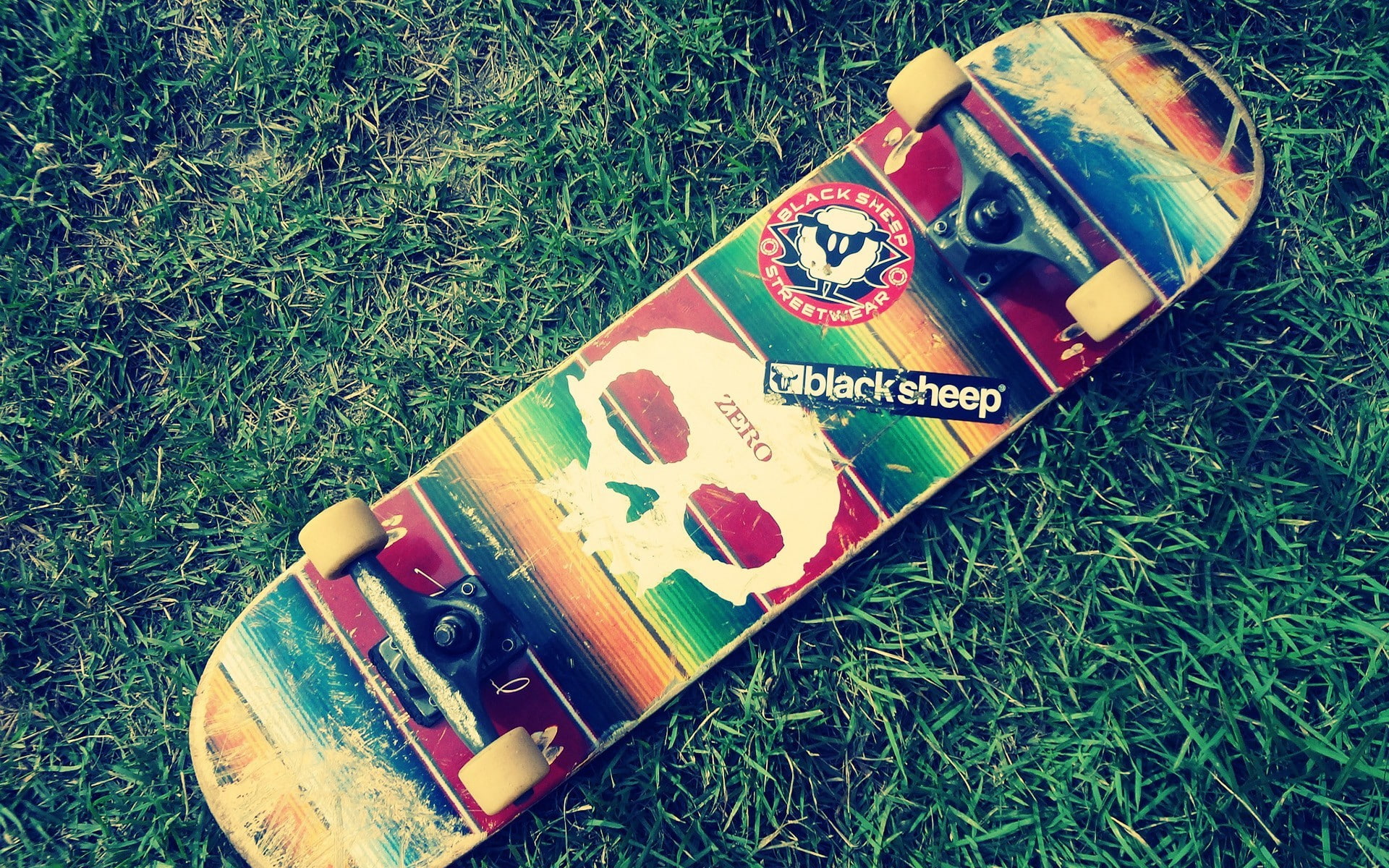 grass, skateboard, 1080P, HD Wallpaper