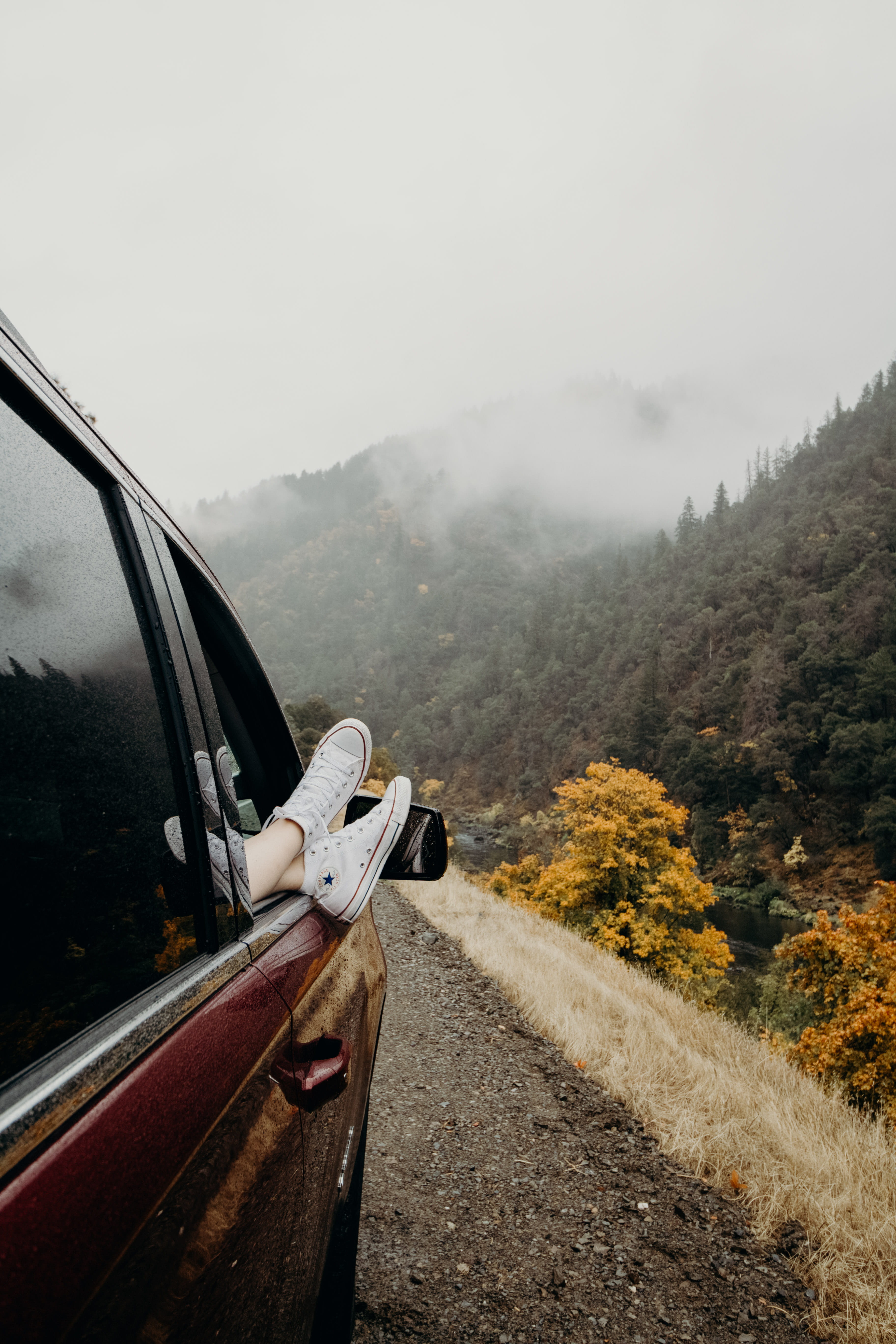 landscape, tree, transportation, nature, s, scenics - nature, mode of transportation, person, door, non-urban scene, day, motor vehicle, road, fog, outside, Phone HD Wallpaper