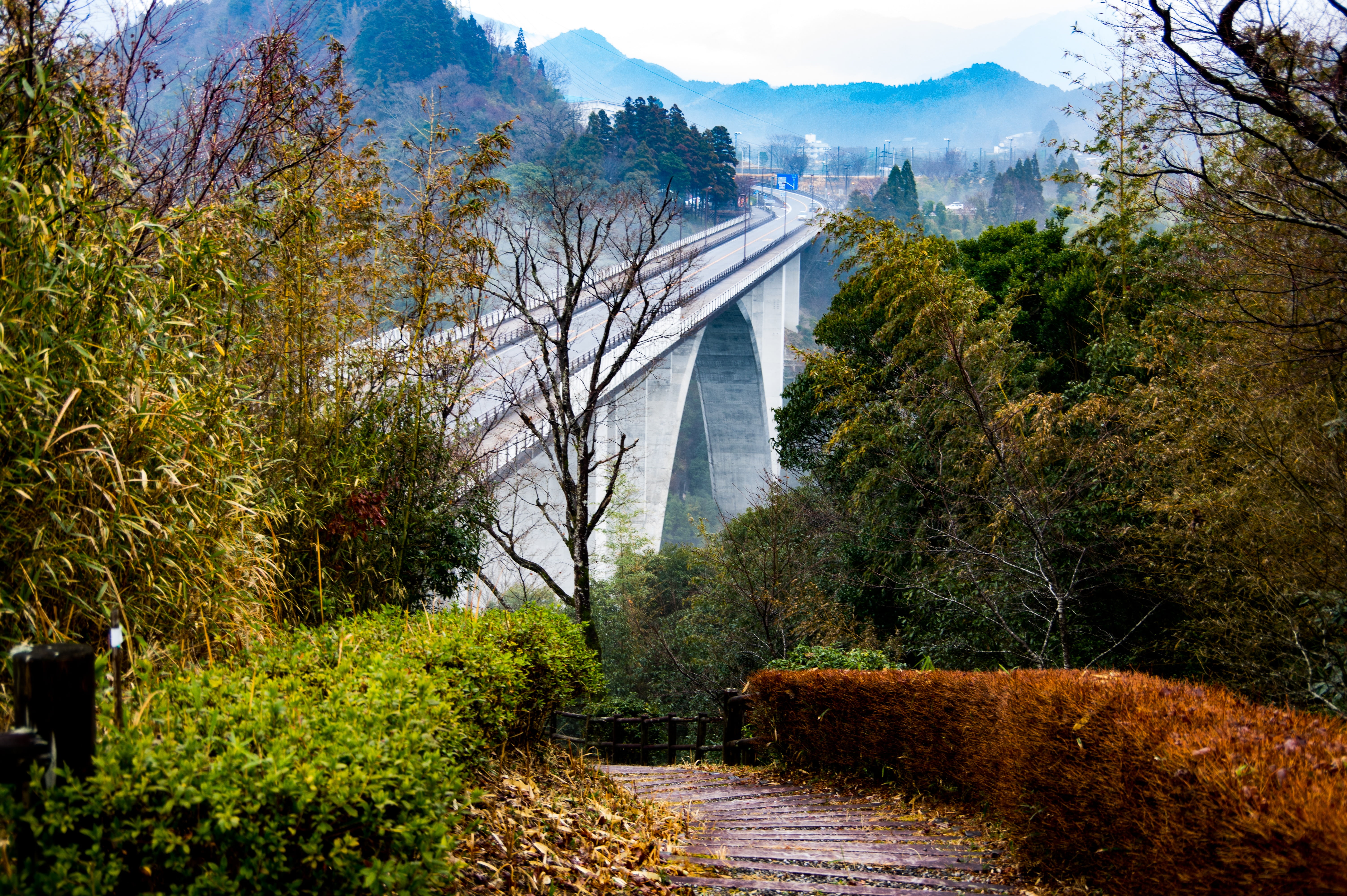 outdoors, early morning, architecture, arch, no people, built structure, 5K, arch bridge, plant, tourism, the way forward, forest, autumn, miyazaki, growth, HD Wallpaper