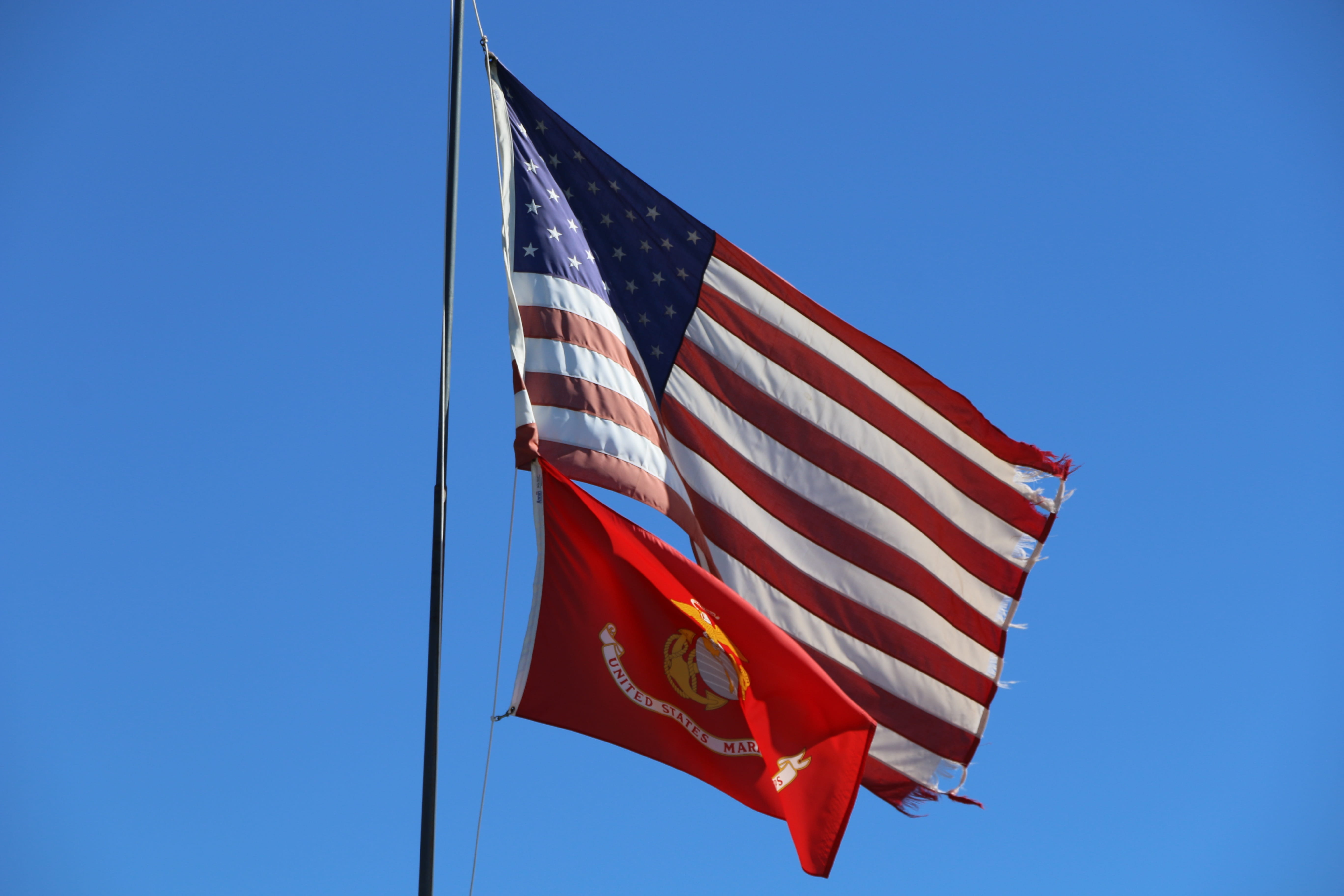 low angle view, patriotism, clear sky, wind, red, star shape, day, california, nature, striped, blue, bay area, 5K, environment, flag, shape, sky, national icon, HD Wallpaper