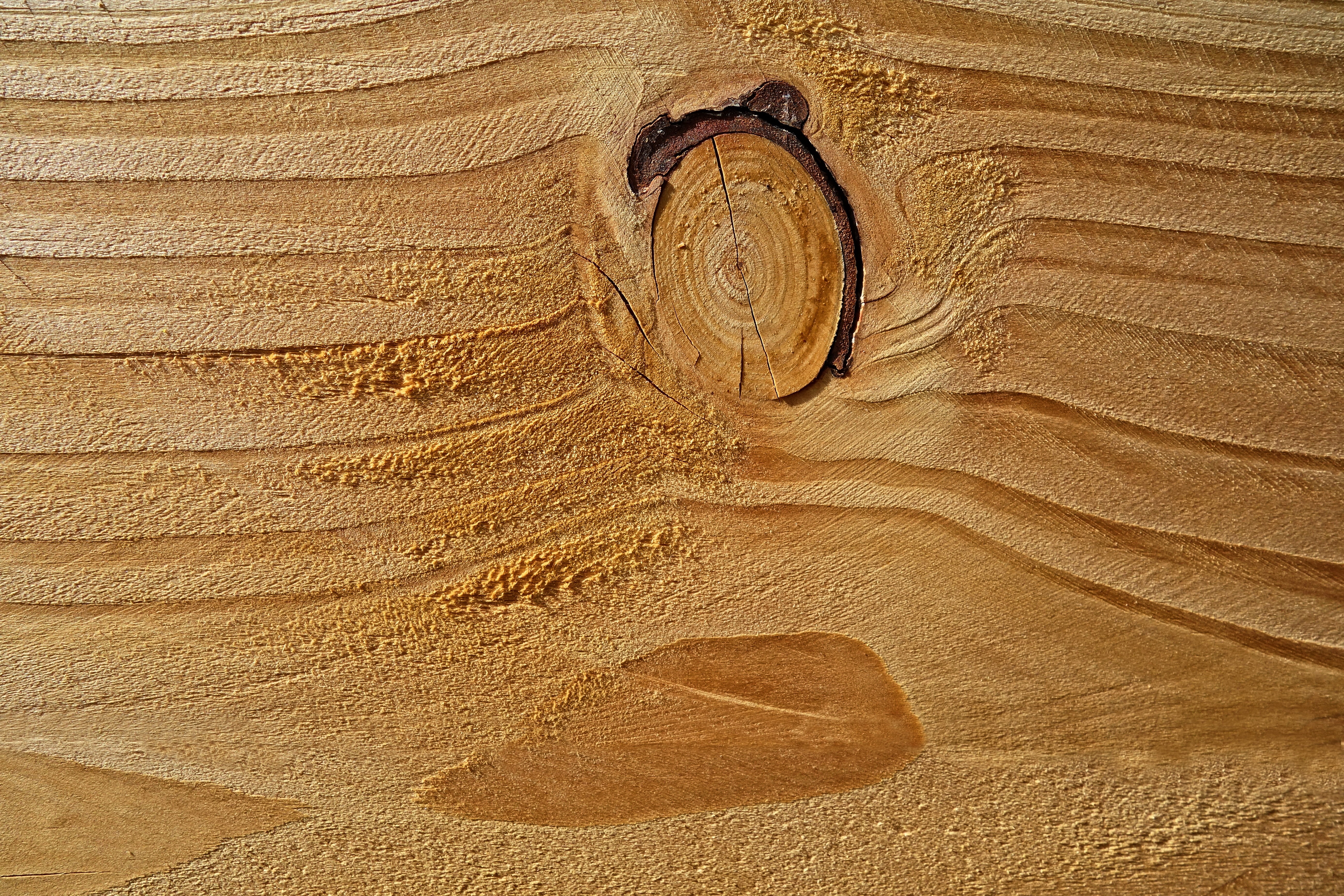 5K, tree ring, brown, natural pattern, wood backdrop, pattern, wood grain, close-up, wood texture, rough, trunk, outdoors, plank, wood - material, plant, HD Wallpaper