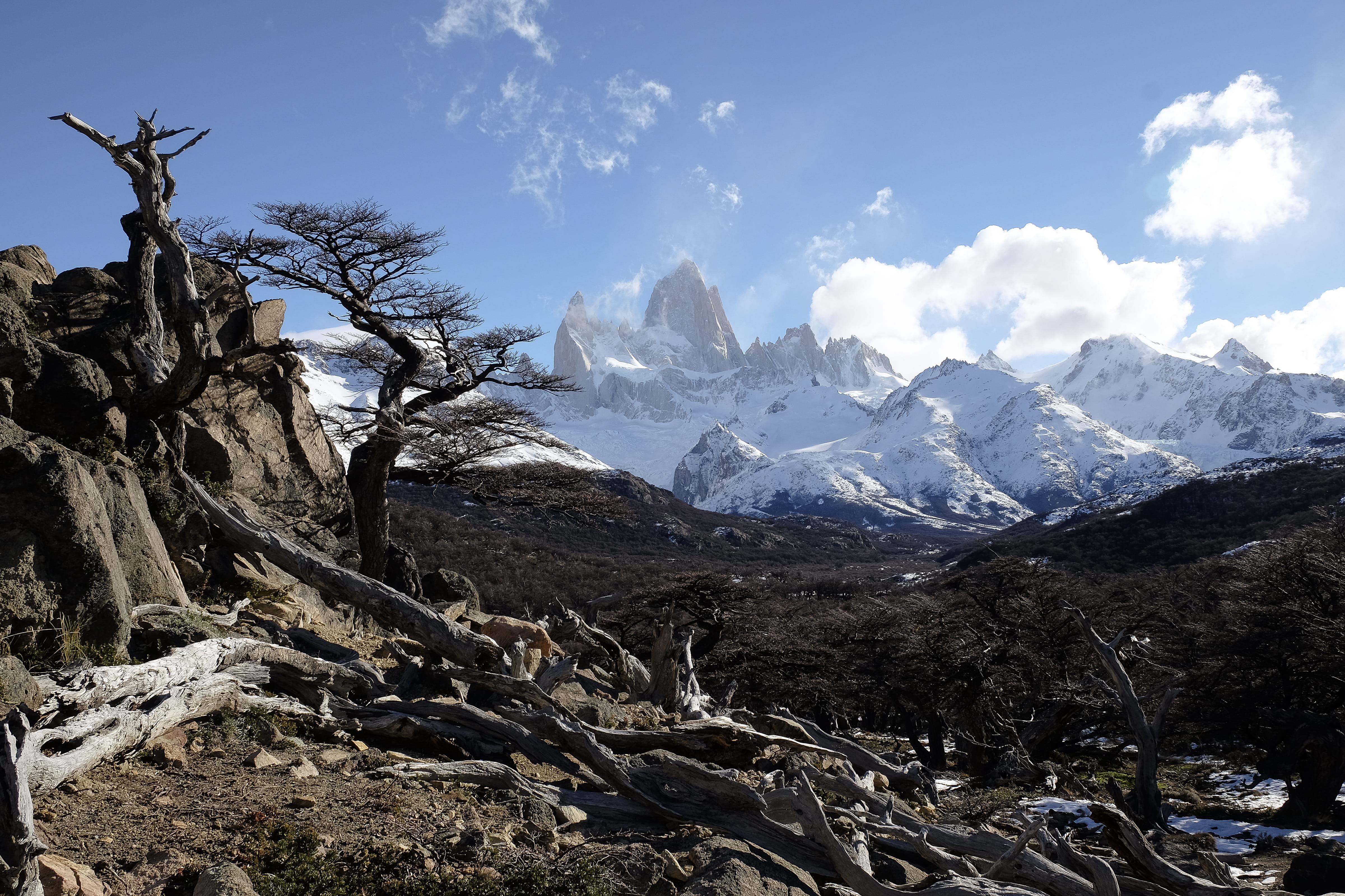snowcapped mountain, height, 4K, snow, argentina, fitz roy, scenics - nature, no people, urban skyline, landscape, patagonia, beauty in nature, range, HD Wallpaper
