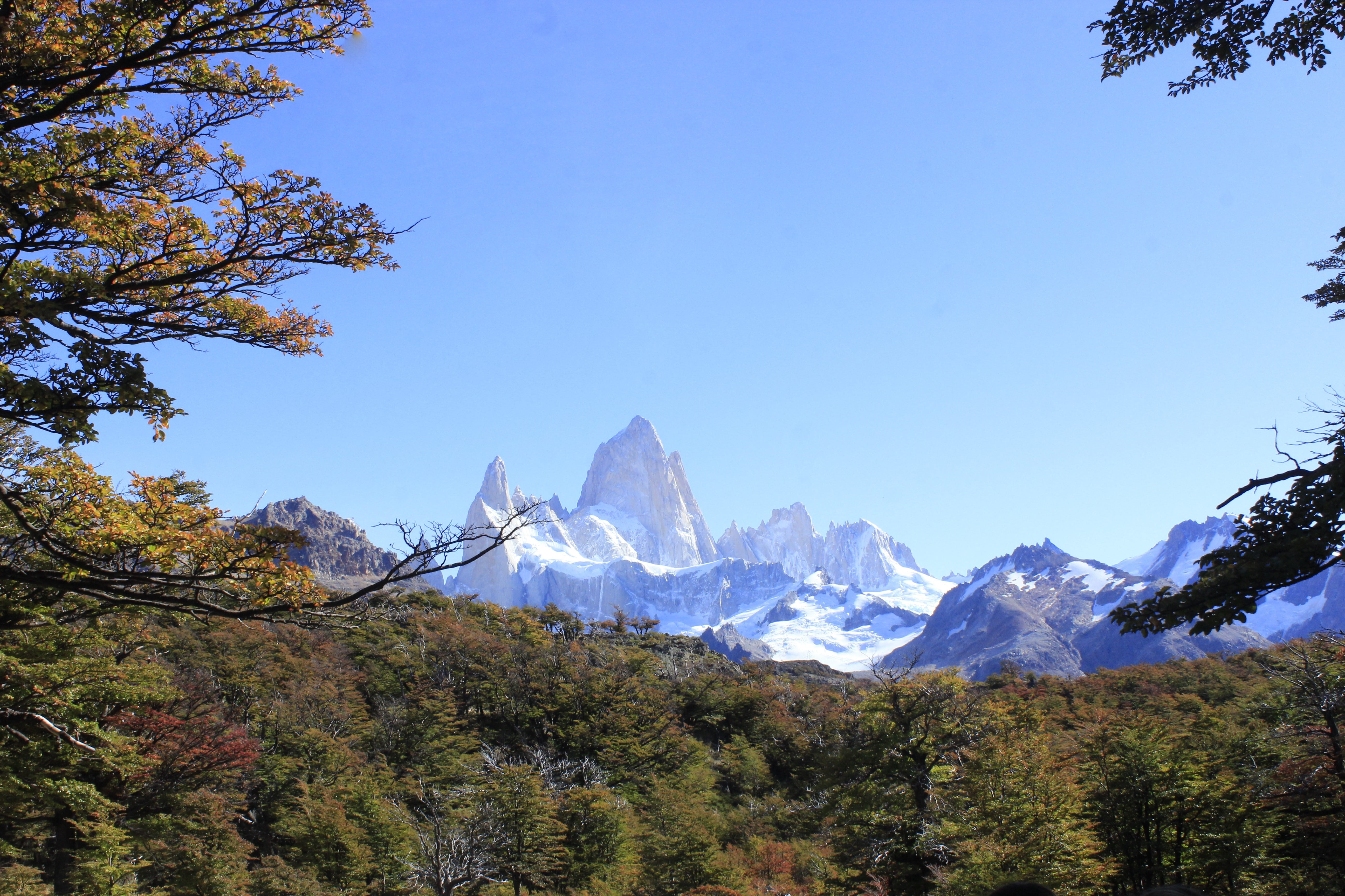snow, mountain range, height, range, winter, cerro fitz roy, mountain, snowcapped mountain, landscape, blue, tree, plant, cold temperature, fitz roy, tranquil scene, HD Wallpaper