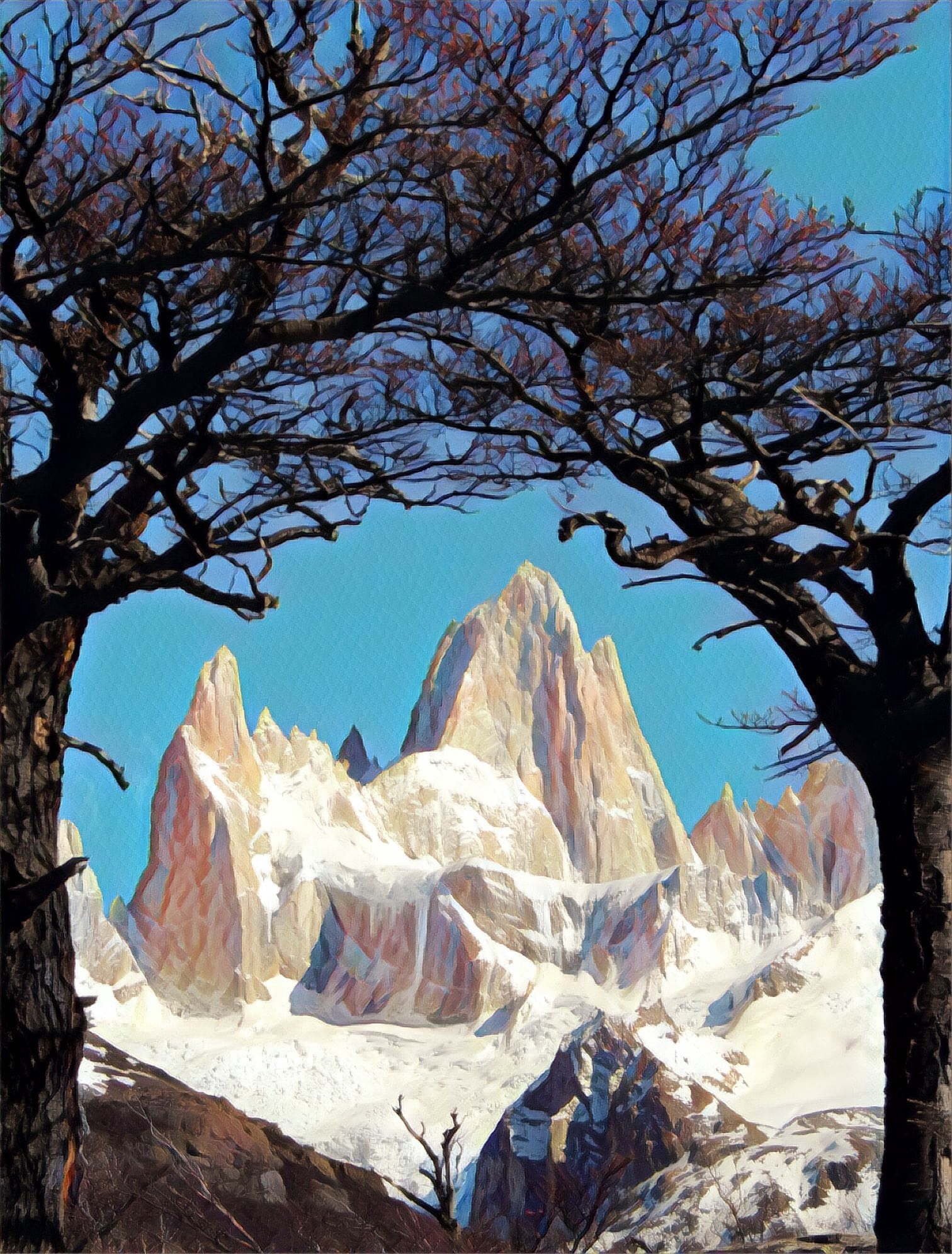 blue, scenics, branch, snowcapped mountain, peak, 1080P, trees, plant, bare tree, fitz roy, winter, mountain, outdoors, day, scenics - nature, beauty in nature, Phone HD Wallpaper