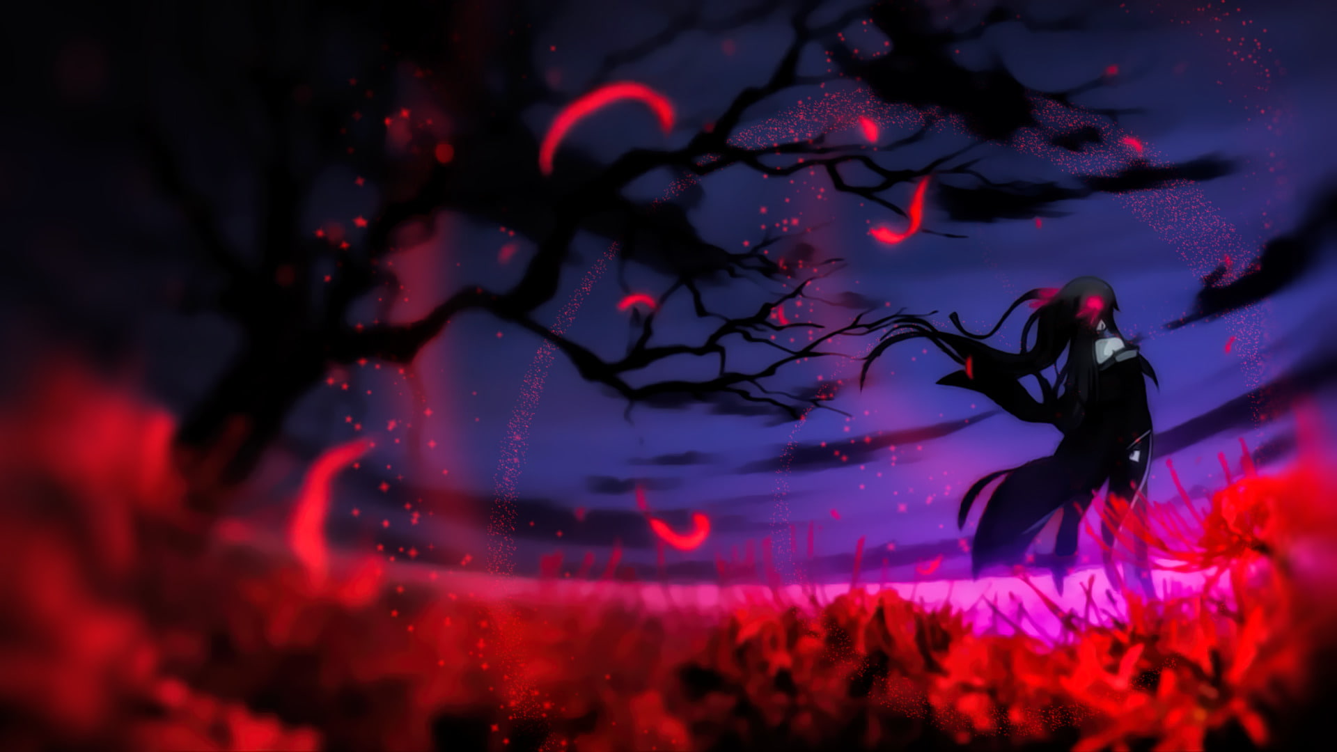 Anime, Undefeated Bahamut Chronicle, 1080P, HD Wallpaper