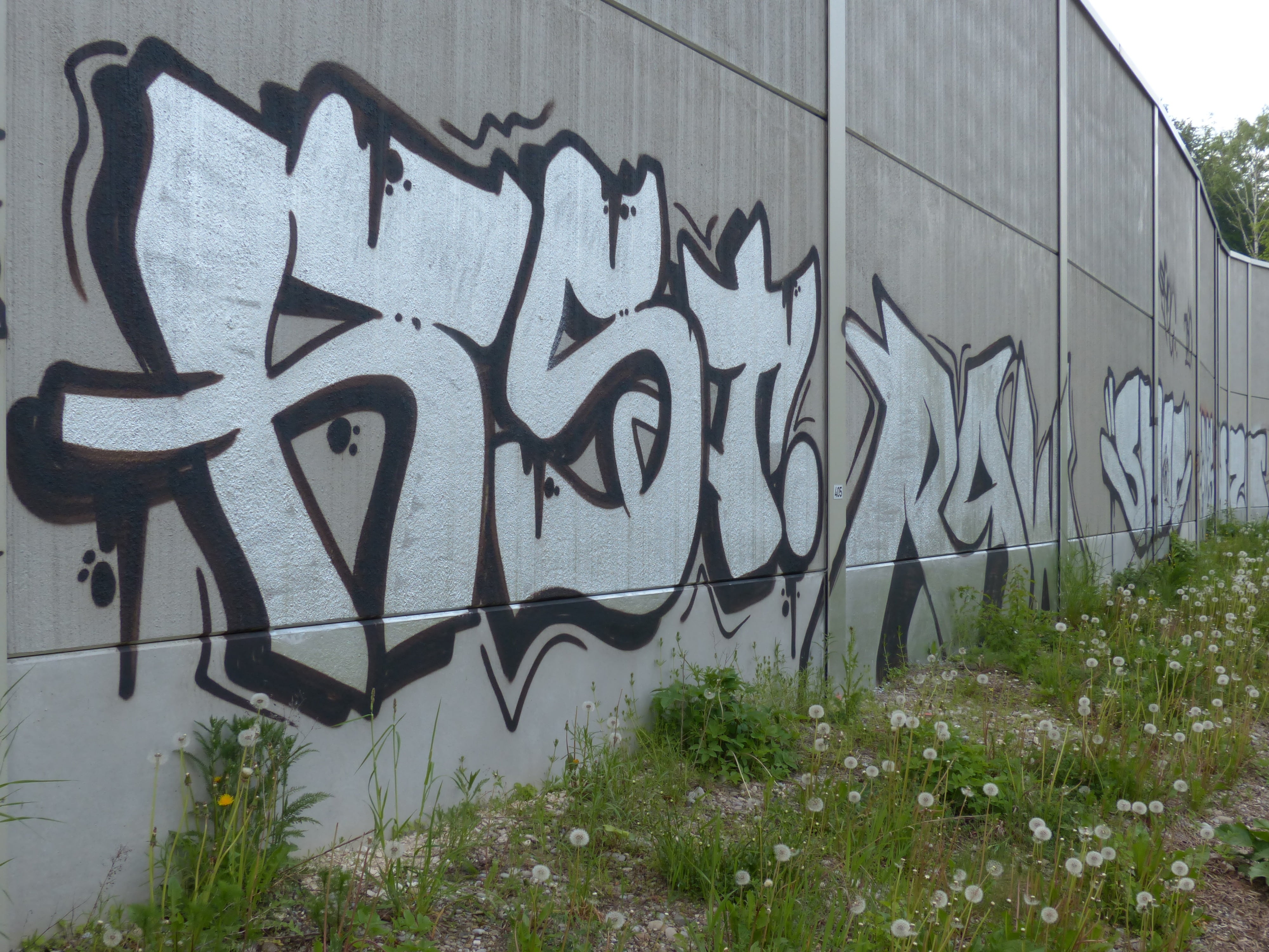 blight, wall, creativity, text, architecture, no people, day, growth, lettering, font, 4K, street art, graffiti, built structure, western script, silver, HD Wallpaper