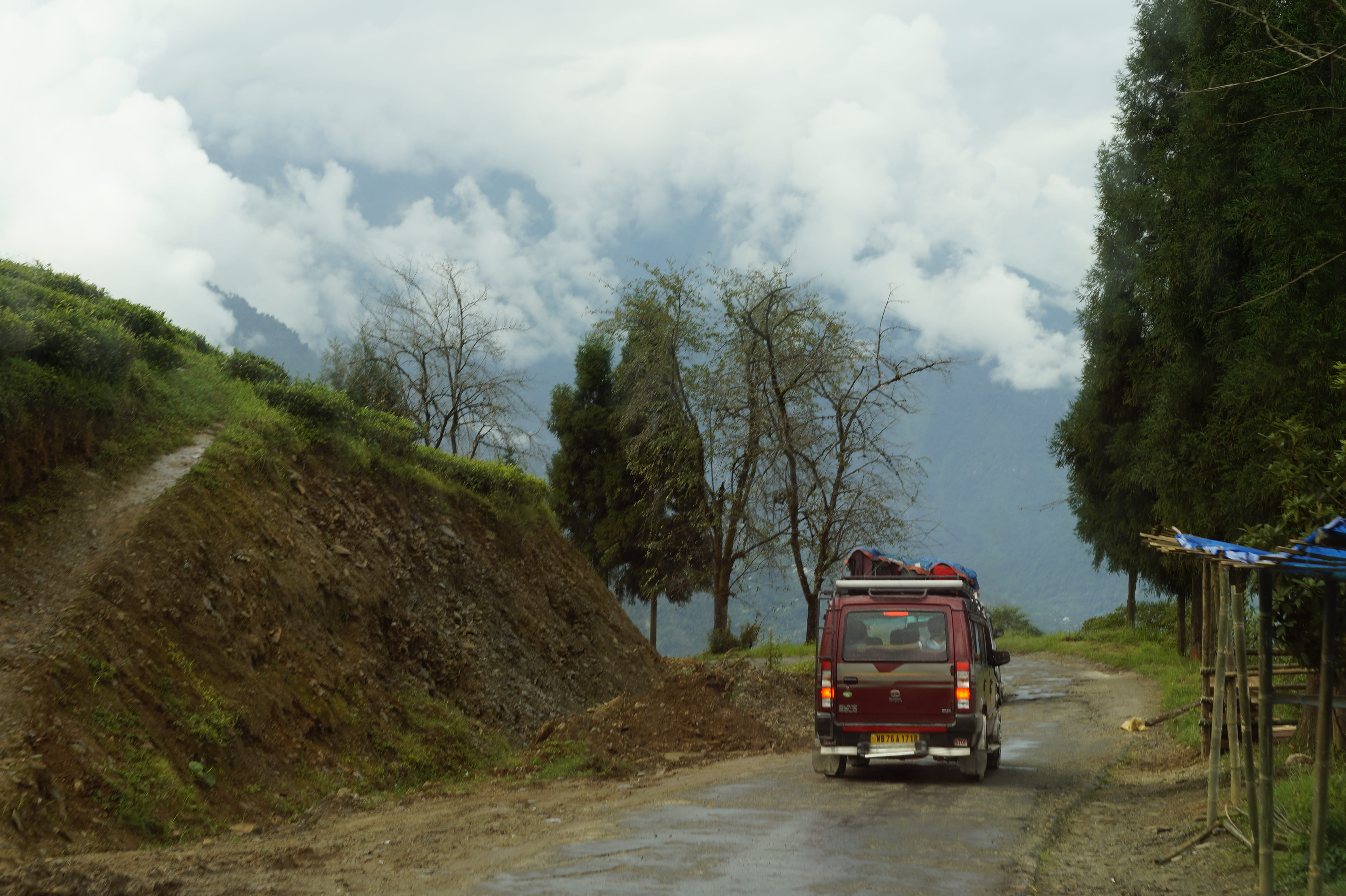 road, car, land, transportation, scenic, mode of transportation, tree, natural, fresh, freshness, land vehicle, cloud - sky, motor vehicle, landscape, sky, HD Wallpaper