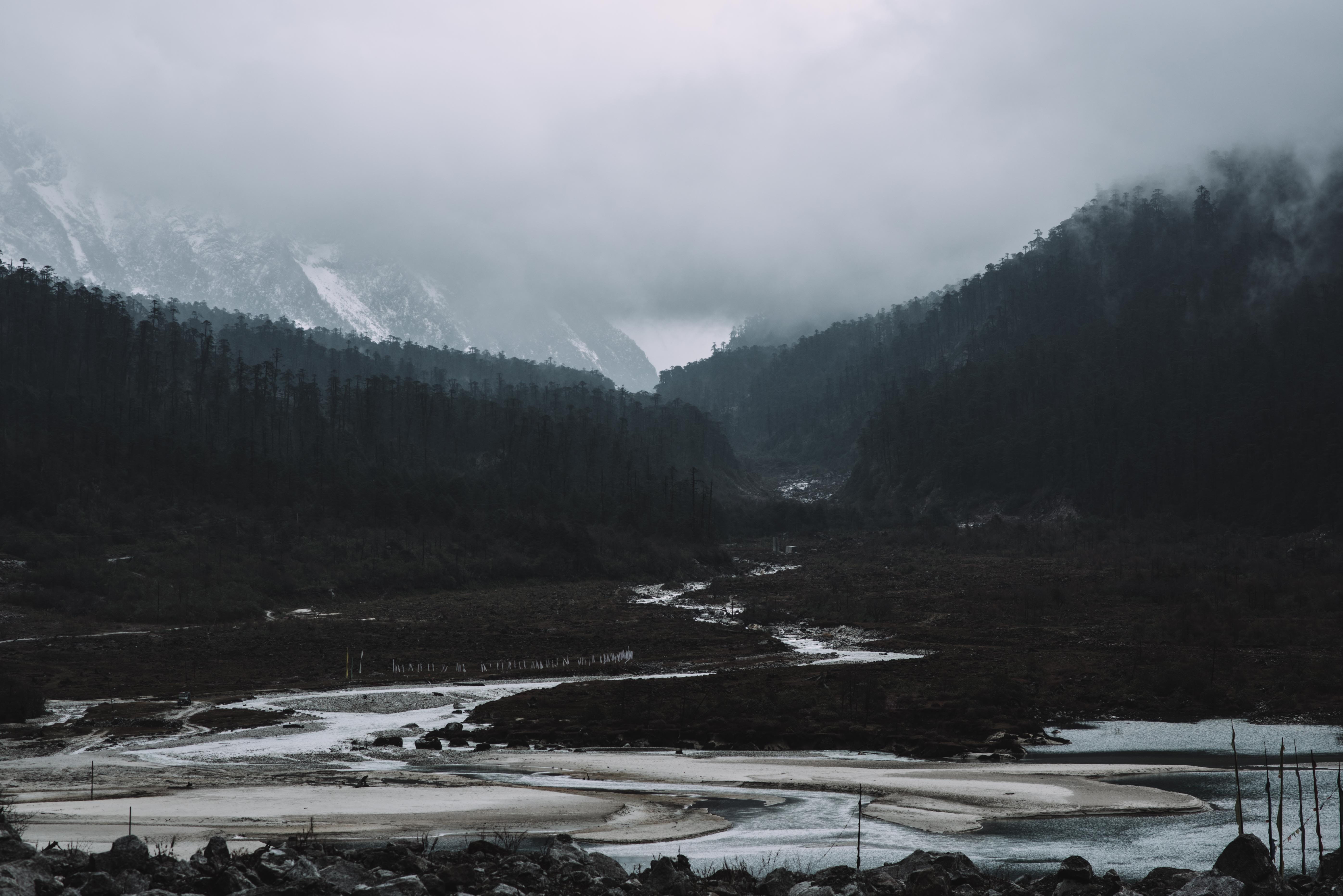 yumthang, outdoors, forest, no people, mountain range, land, plant, tranquility, snowmountains, fog, trees, clouds, mountain peak, scenics - nature, non-urban scene, HD Wallpaper