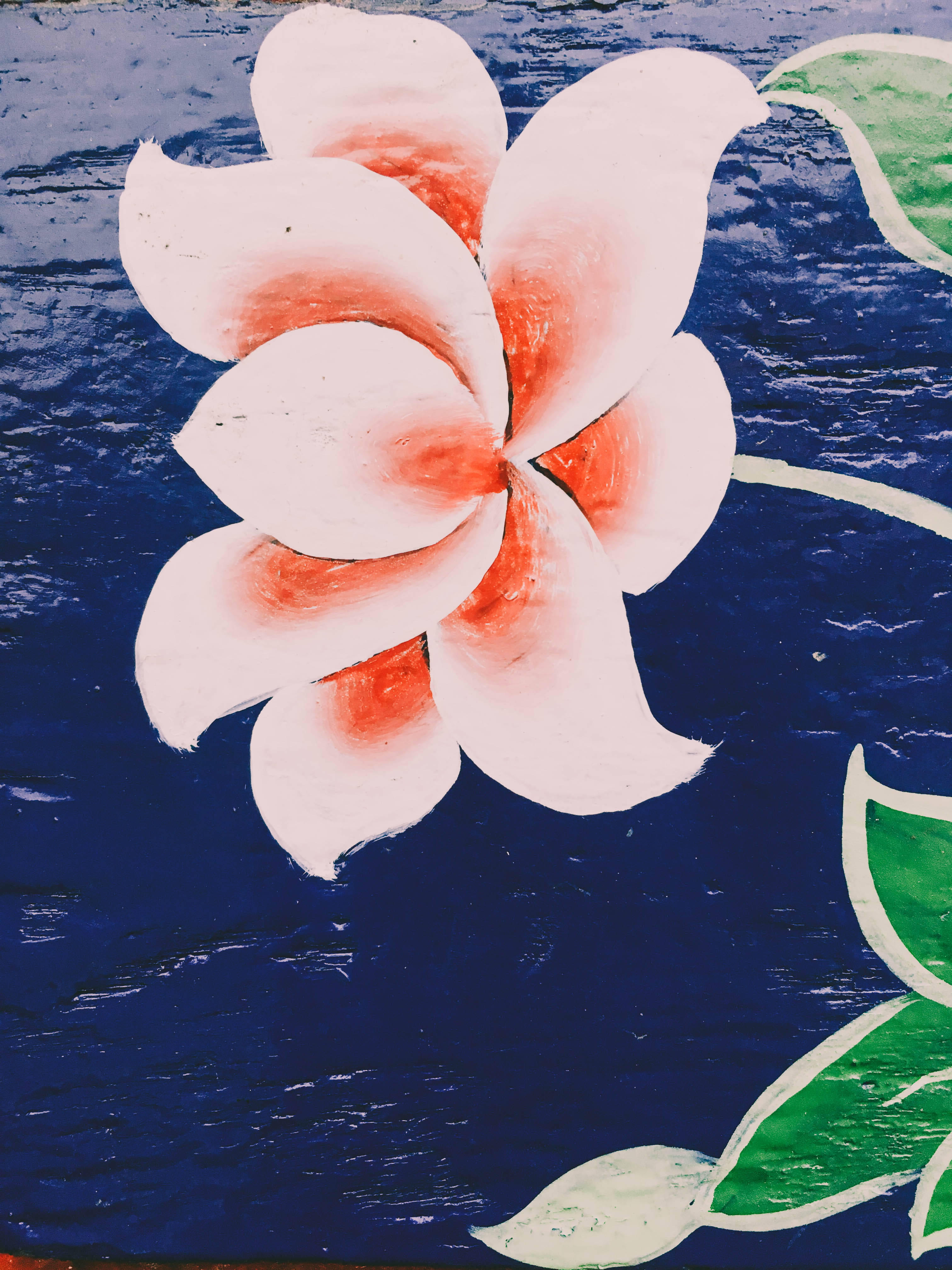 beauty in nature, floating on water, nature, snowman, water, petal, day, wall, art, no people, reflection, wallart, pond lily, buddhist, 4K, directly above, Phone HD Wallpaper