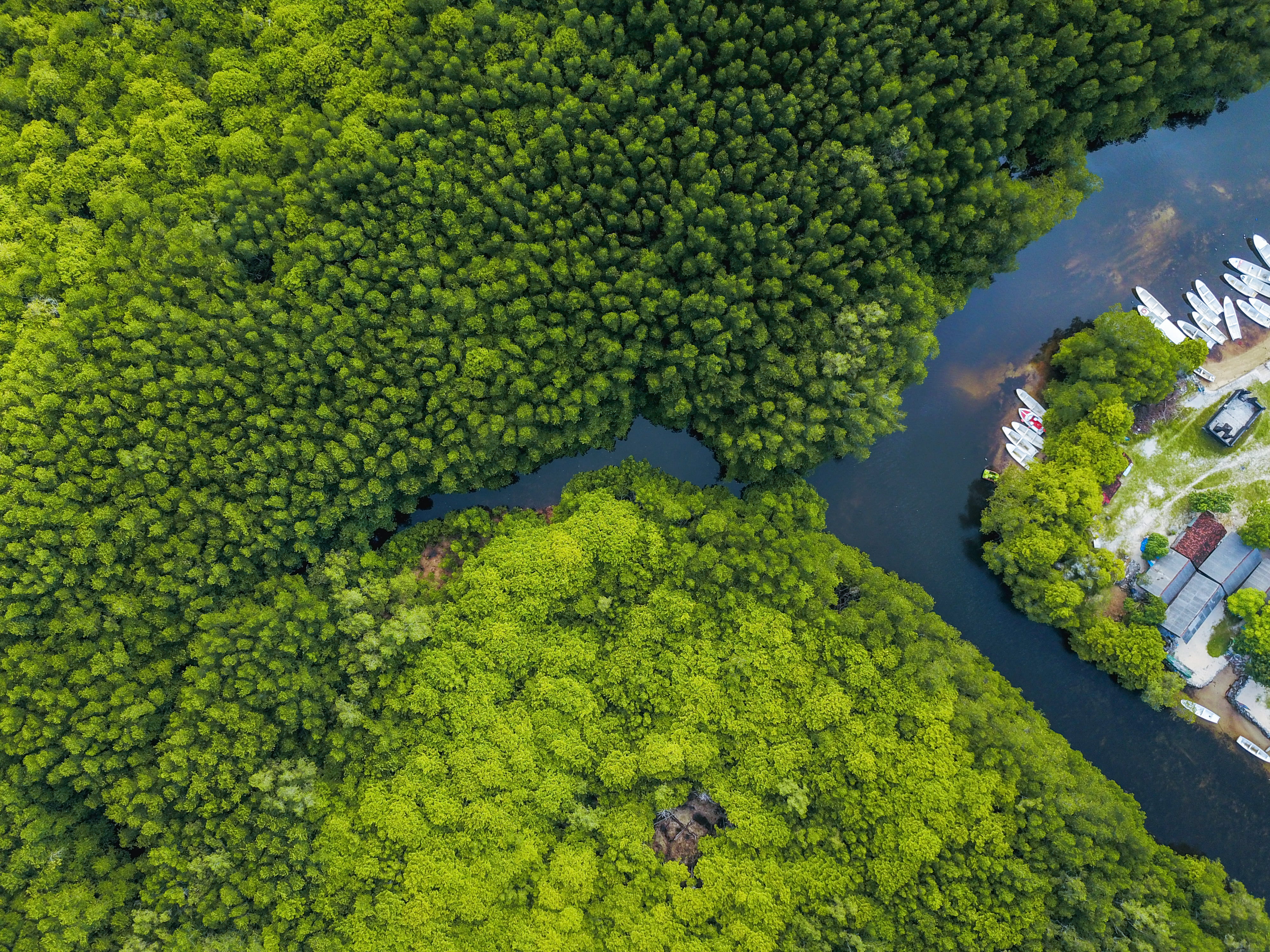 land, aerial view, idyllic, plant, outdoors, nature, body, foliage, 4K, surrounded, growth, trees, shot, scenics - nature, beauty in nature, environment, HD Wallpaper