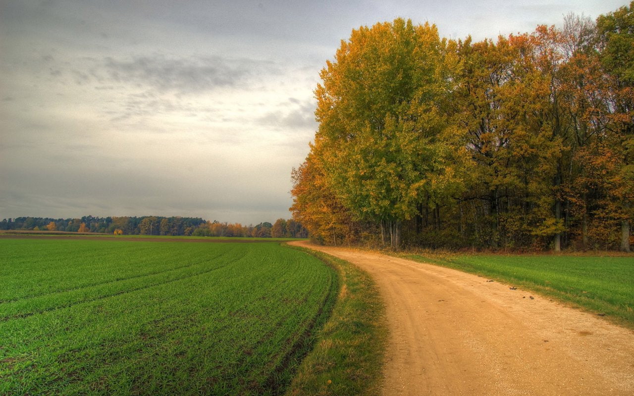 720P, hd, take, Trees, nature, roads, art, Fields, country, home, HD Wallpaper