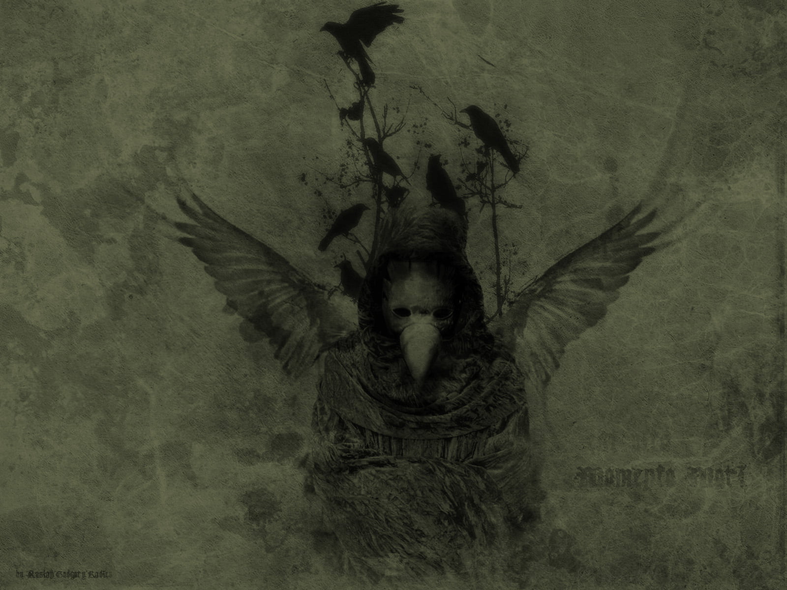 momento mori, Raven, godgory, 720P, HD Wallpaper