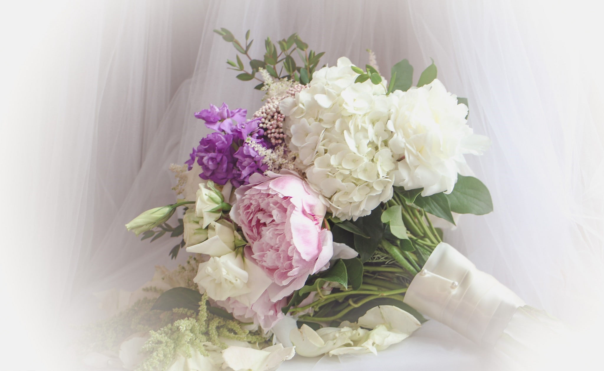 bouquet, celebration, white color, beauty in nature, indoors, flower arrangement, flower head, plant, close-up, freshness, petal, fragility, 1080P, no people, HD Wallpaper