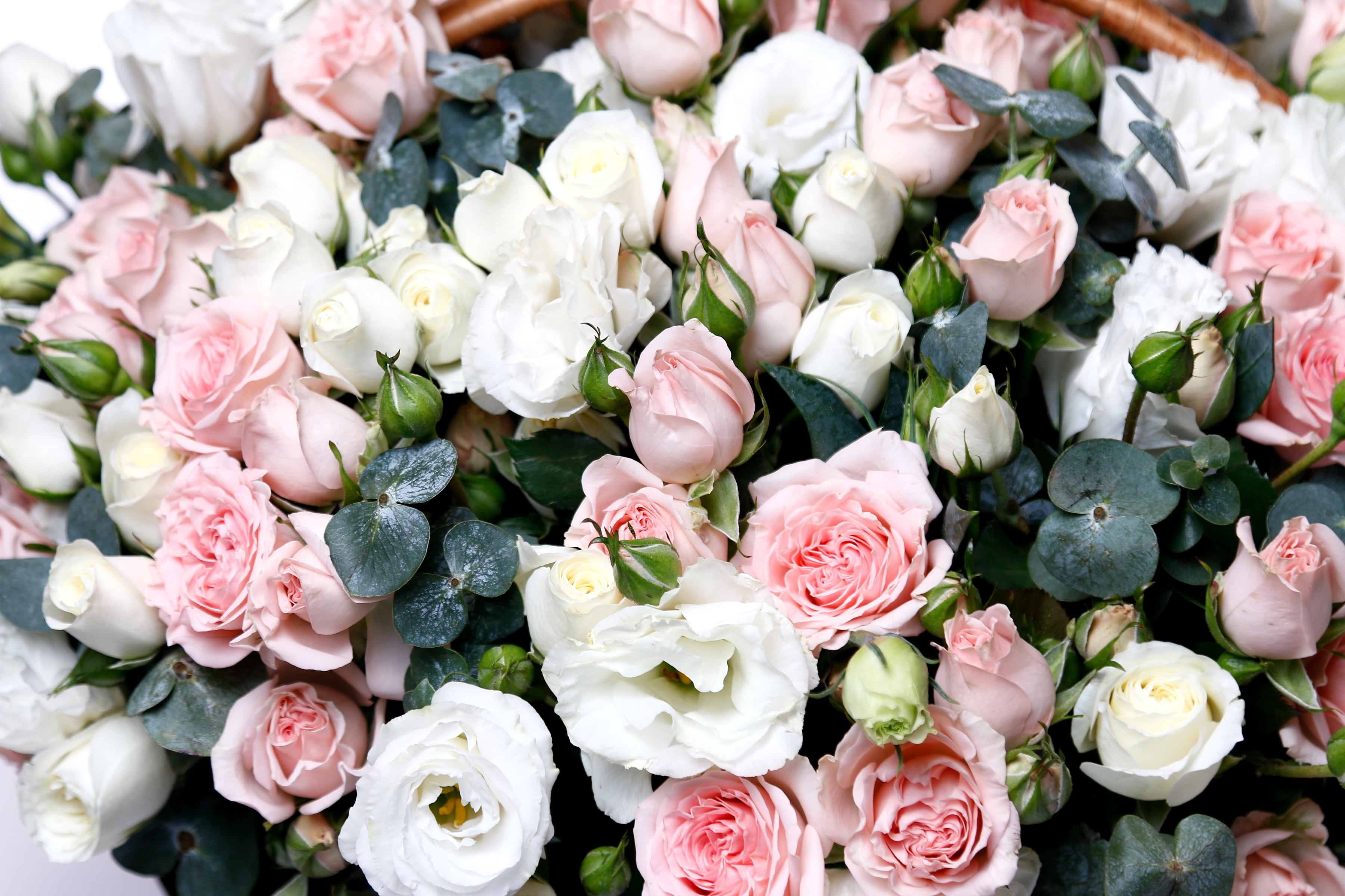 eustoma, roses, 2K, bunch, HD Wallpaper