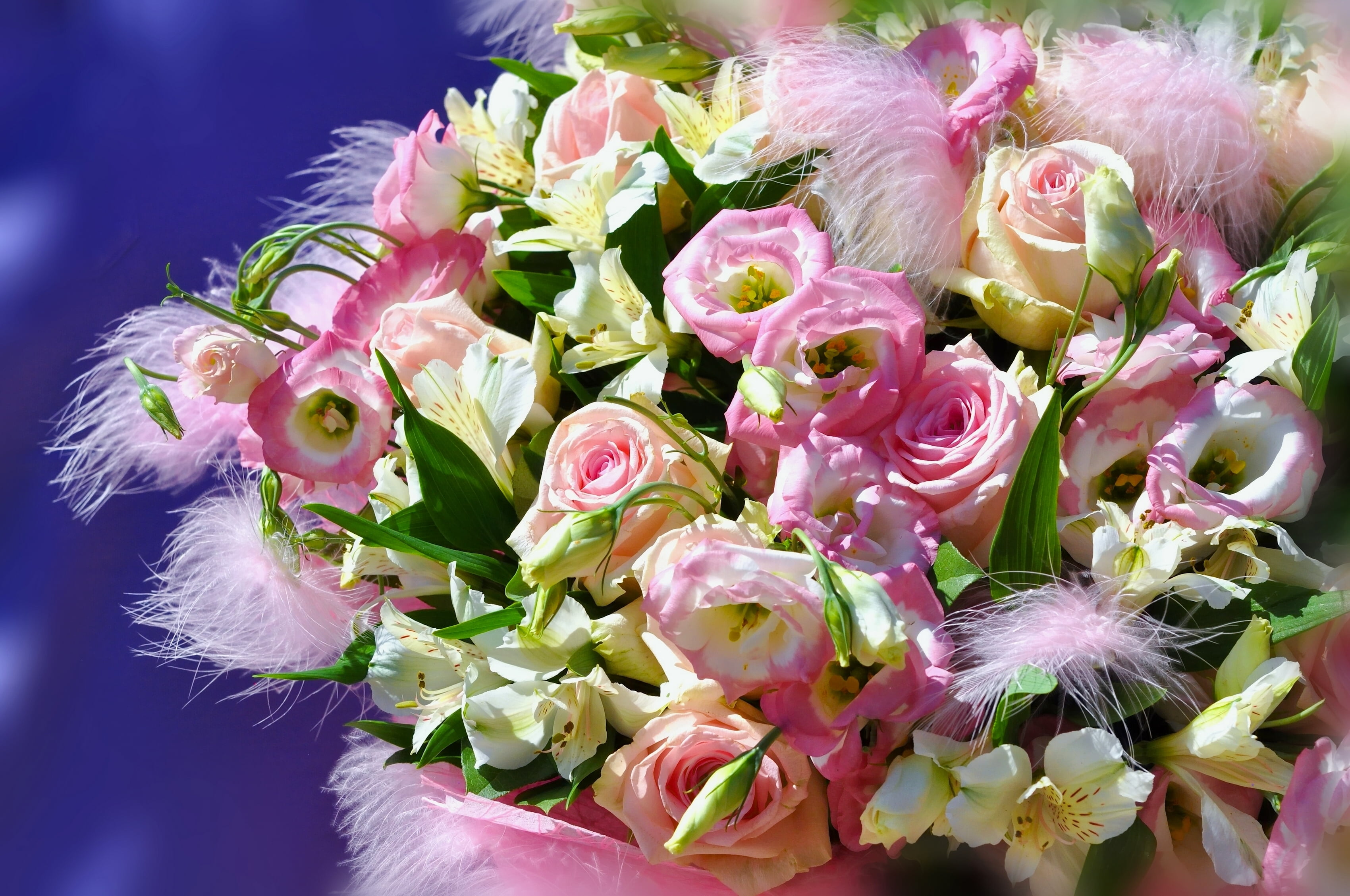 pink, freshness, no people, peony, flower, yellow, flowering plant, flowers, vulnerability, beauty In Nature, bouquet, decoration, romance, flower Head, HD Wallpaper
