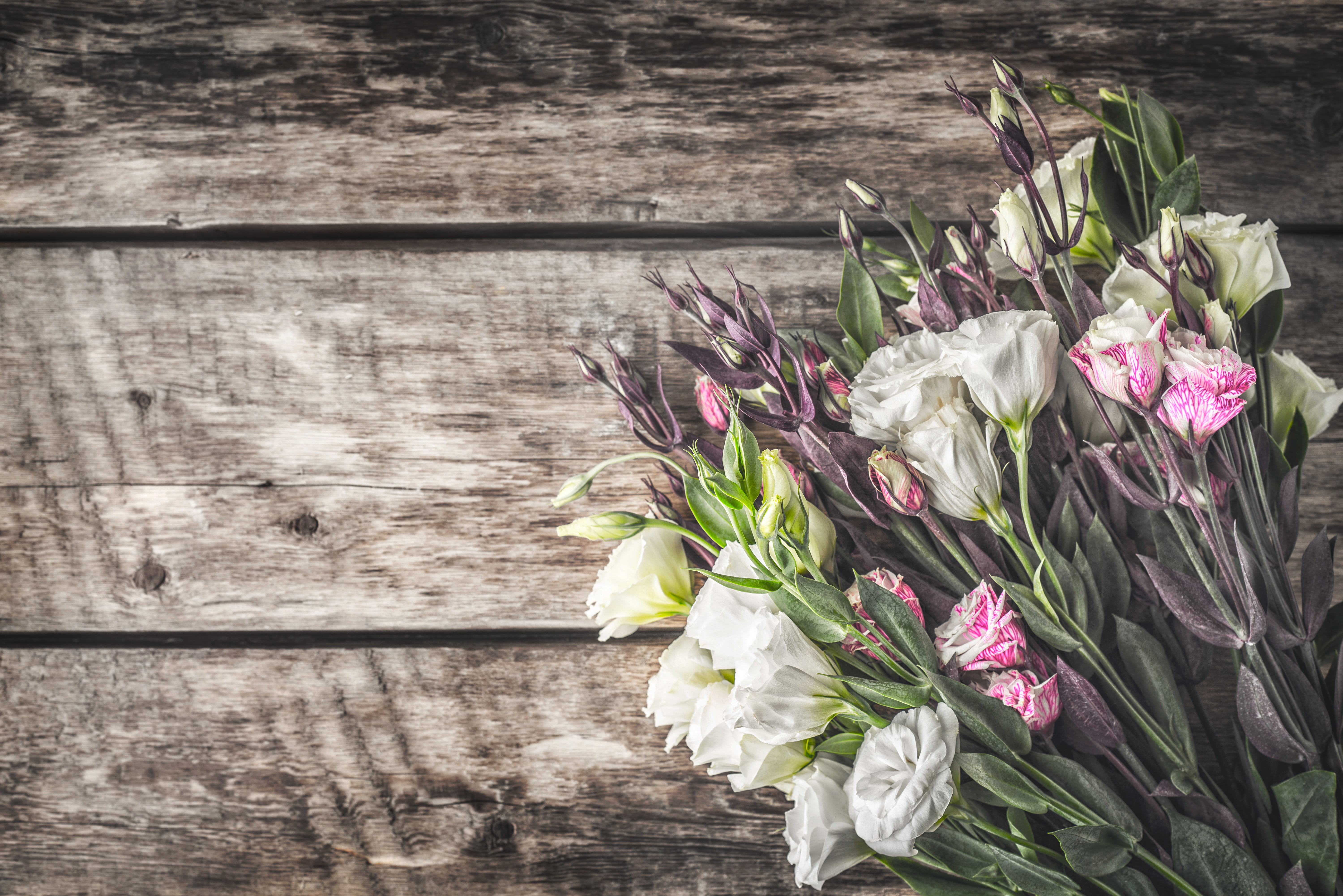 5K, flowers, bouquet, eustoma, HD Wallpaper