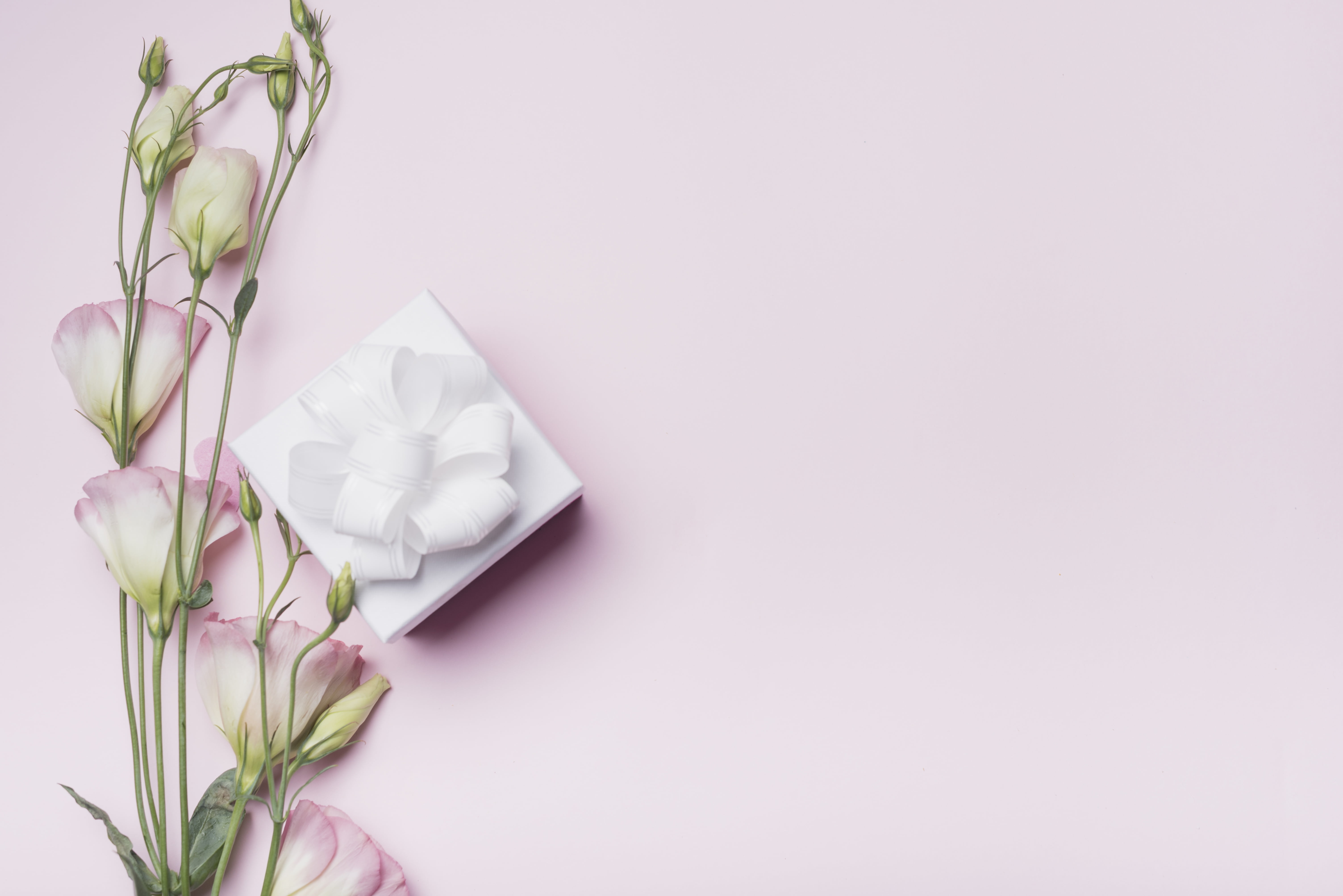 box, gift, valentine, eustoma, background, 5K, flowers, love, pink, HD Wallpaper