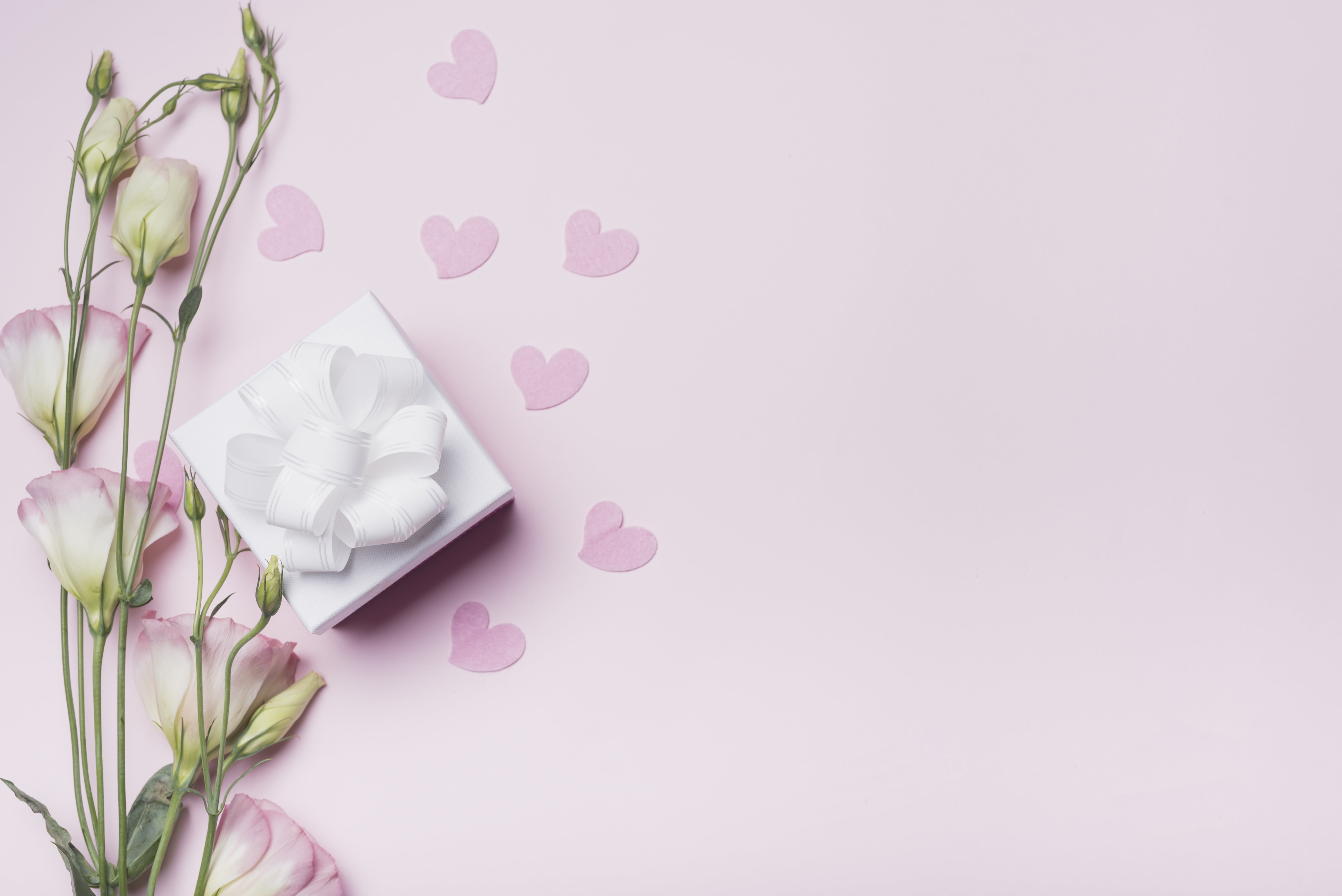 background, pink, 5K, valentine, love, flowers, hearts, eustoma, box, gift, HD Wallpaper