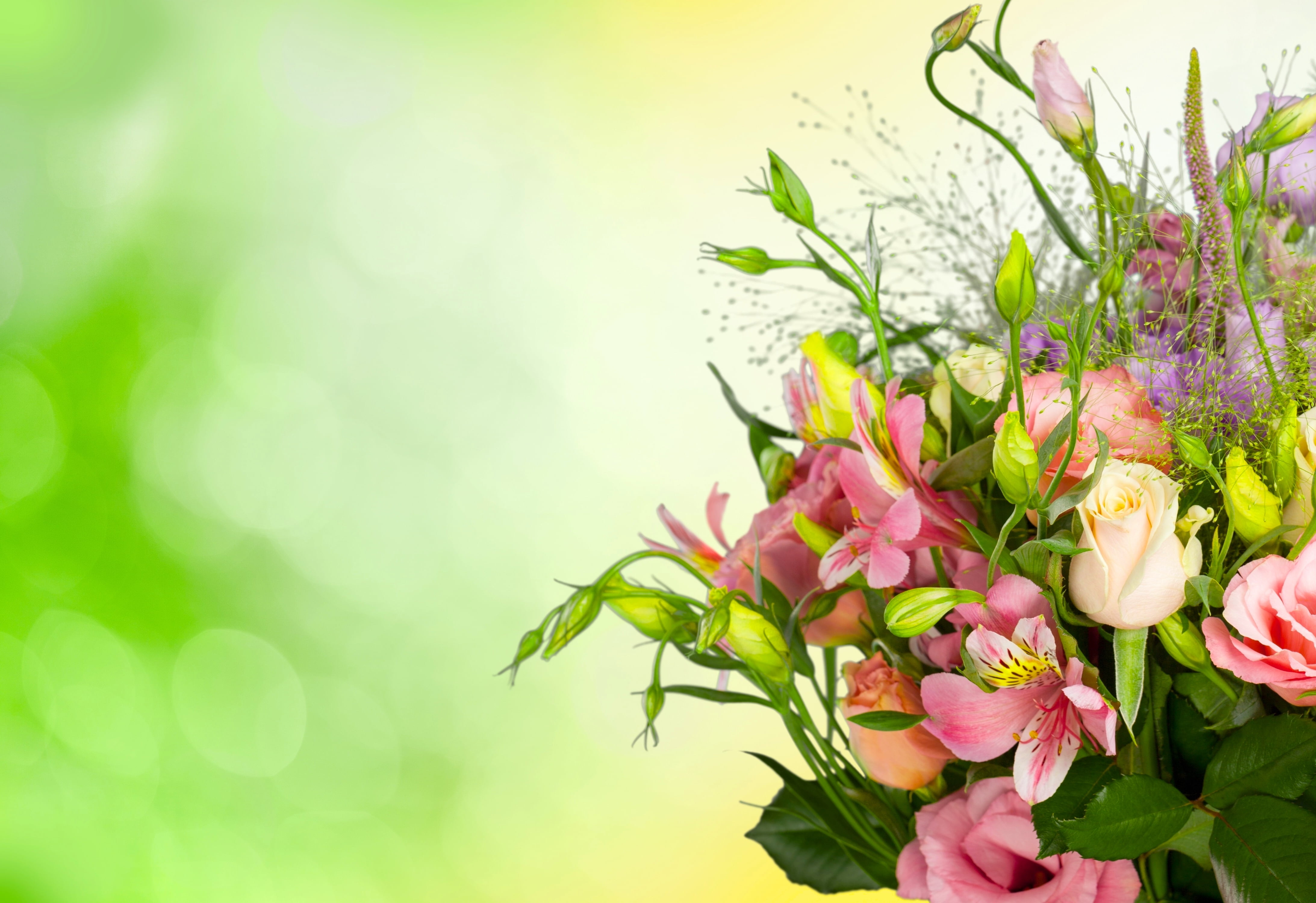 flowers, purple, beauty in nature, plant, pink, 4K, vulnerability, inflorescence, no people, eustoma, pink color, nature, outdoors, flowering plant, springtime, HD Wallpaper