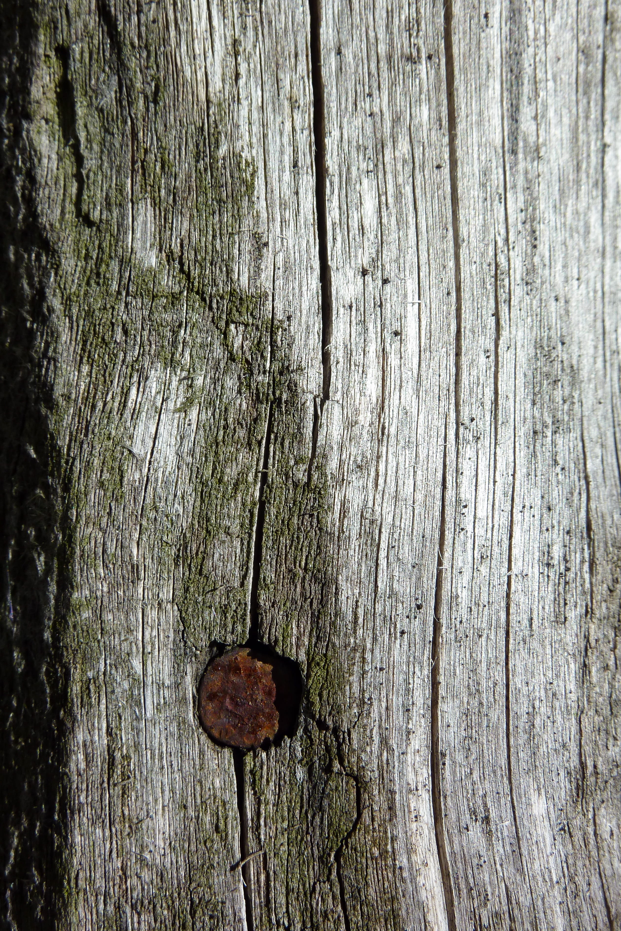 close-up, day, 2K, entrance, no people, Ancient, textured, cracked, run-down, rough, rusty, particular, weathered, wood grain, tree trunk, door, Old, used, Phone HD Wallpaper