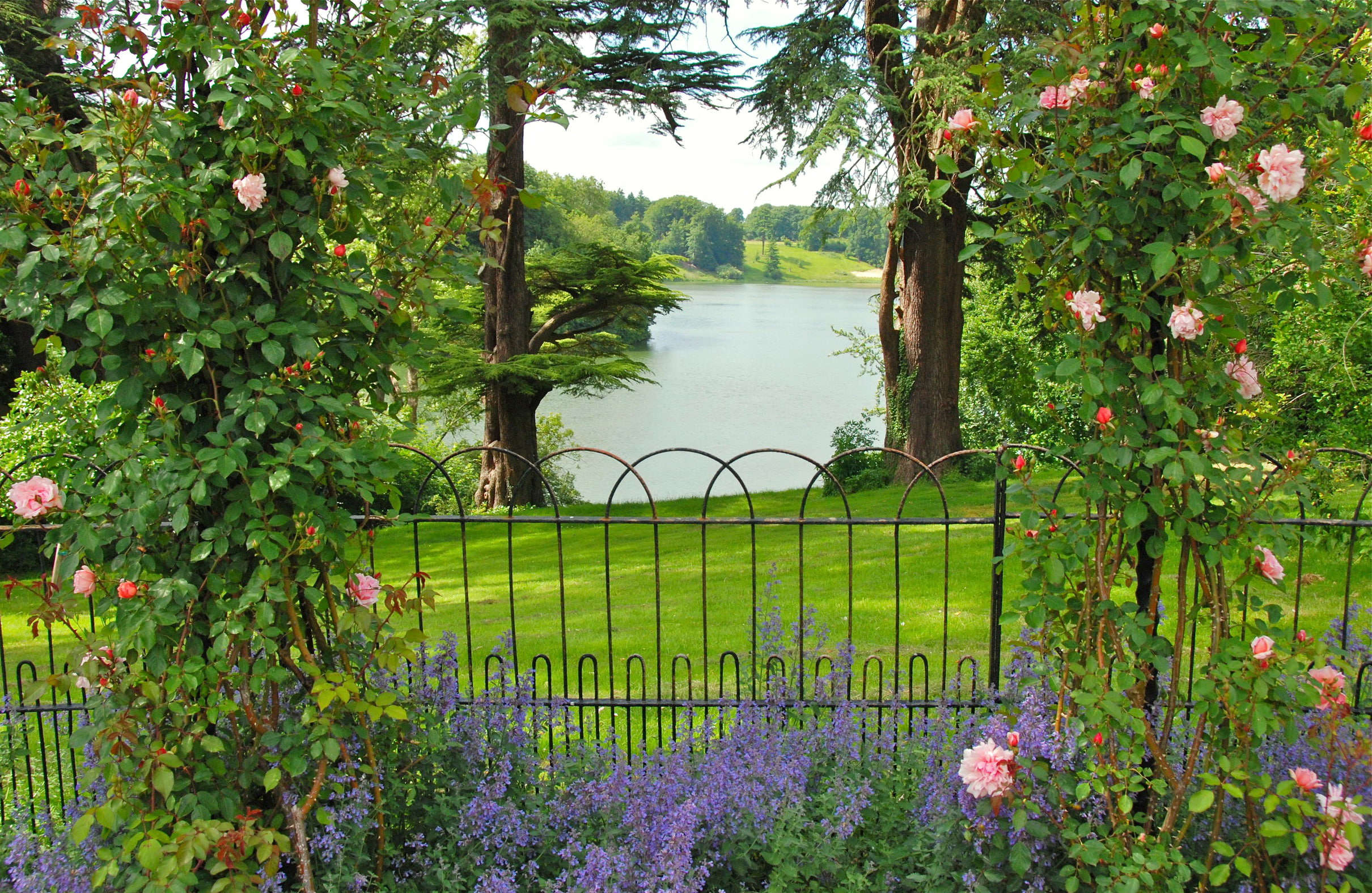 trees, scenics - nature, flower, garden, tranquility, beauty in nature, 1080P, lake, river, greens, barrier, UK, flowering, nature, water, roses, Oxfordshire Gardens, HD Wallpaper