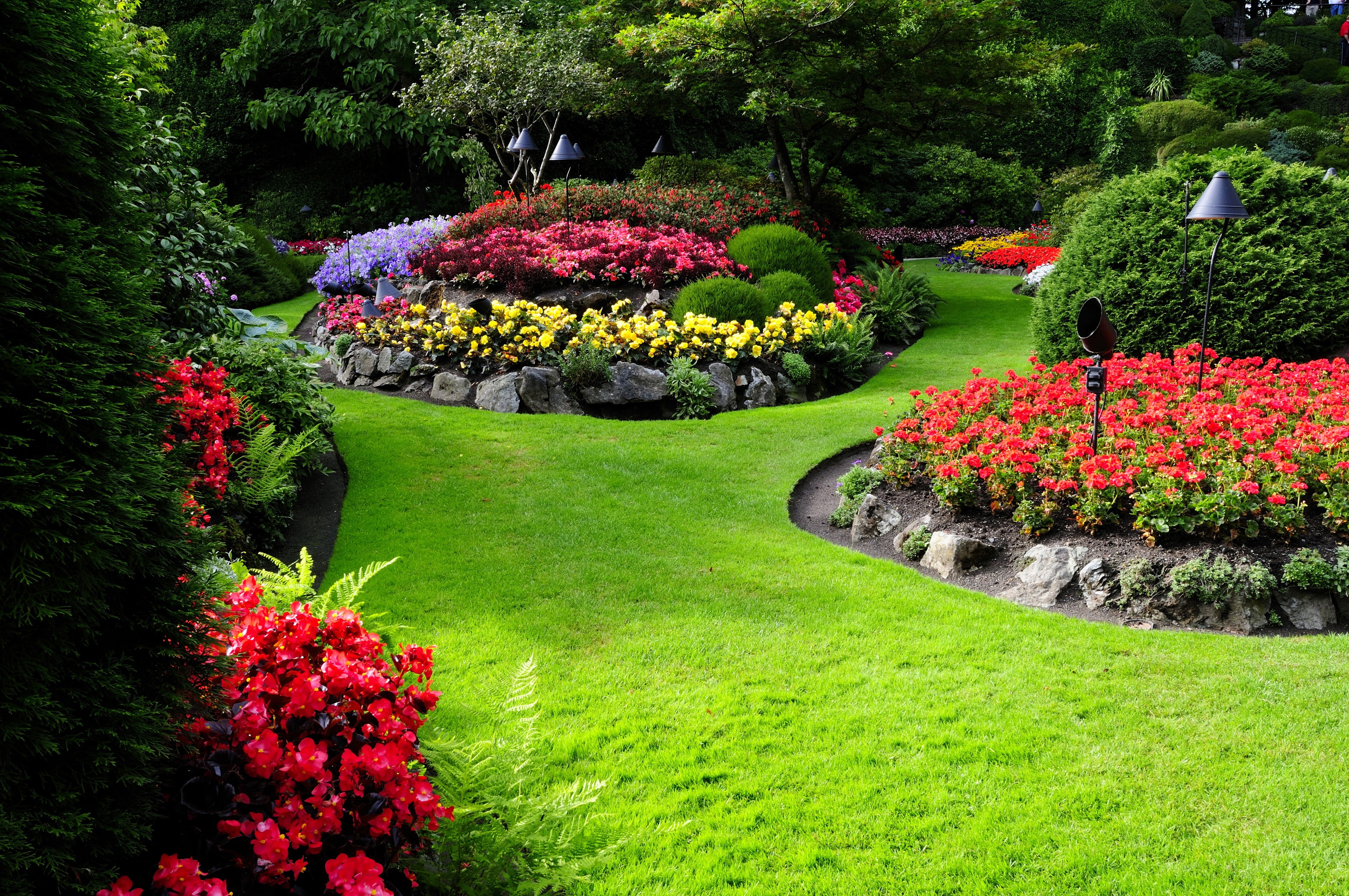 garden, flowering plant, beauty in nature, landscape, park, botany, flower, flowers, park - man made space, day, green color, outdoors, red, springtime, HD Wallpaper
