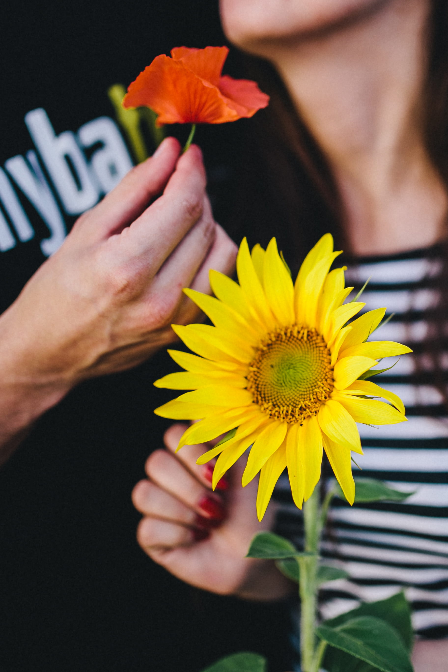 inflorescence, real people, romance, petal, fragility, pollen, flower, women, people, hugging, one Person, young Adult, love, finger, woman, romantic, girl, Phone HD Wallpaper