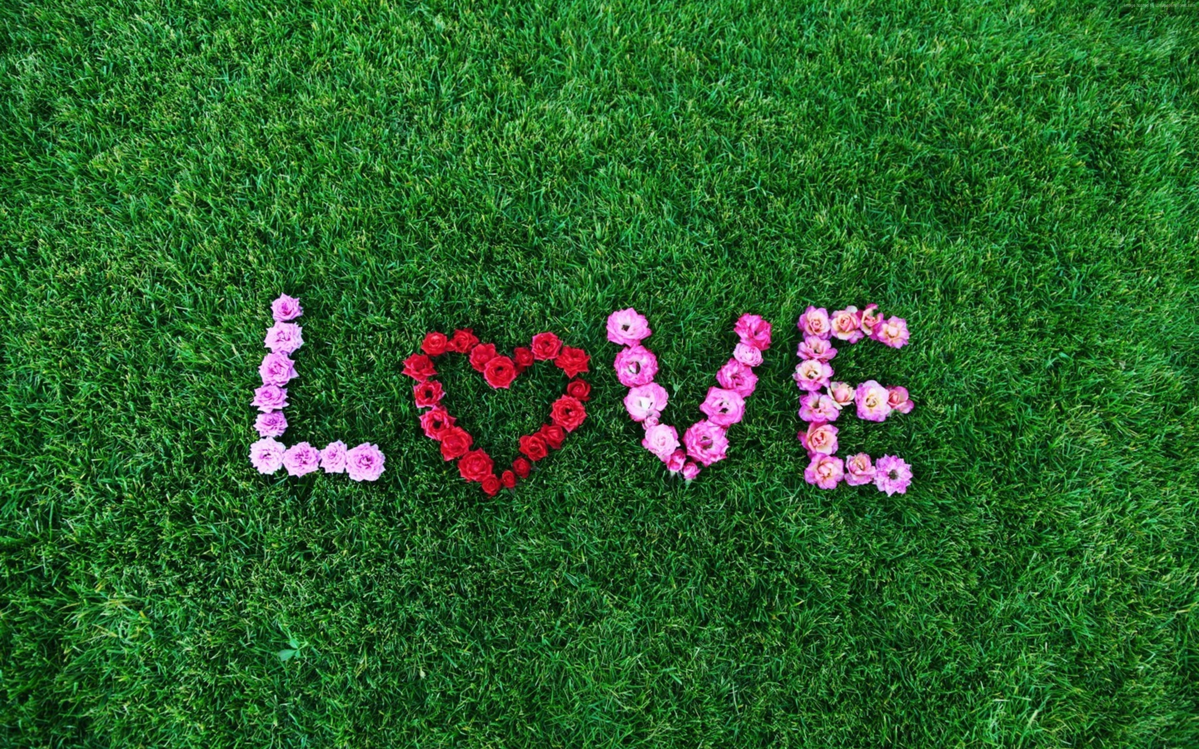 4K, love image, heart, 4k, HD Wallpaper