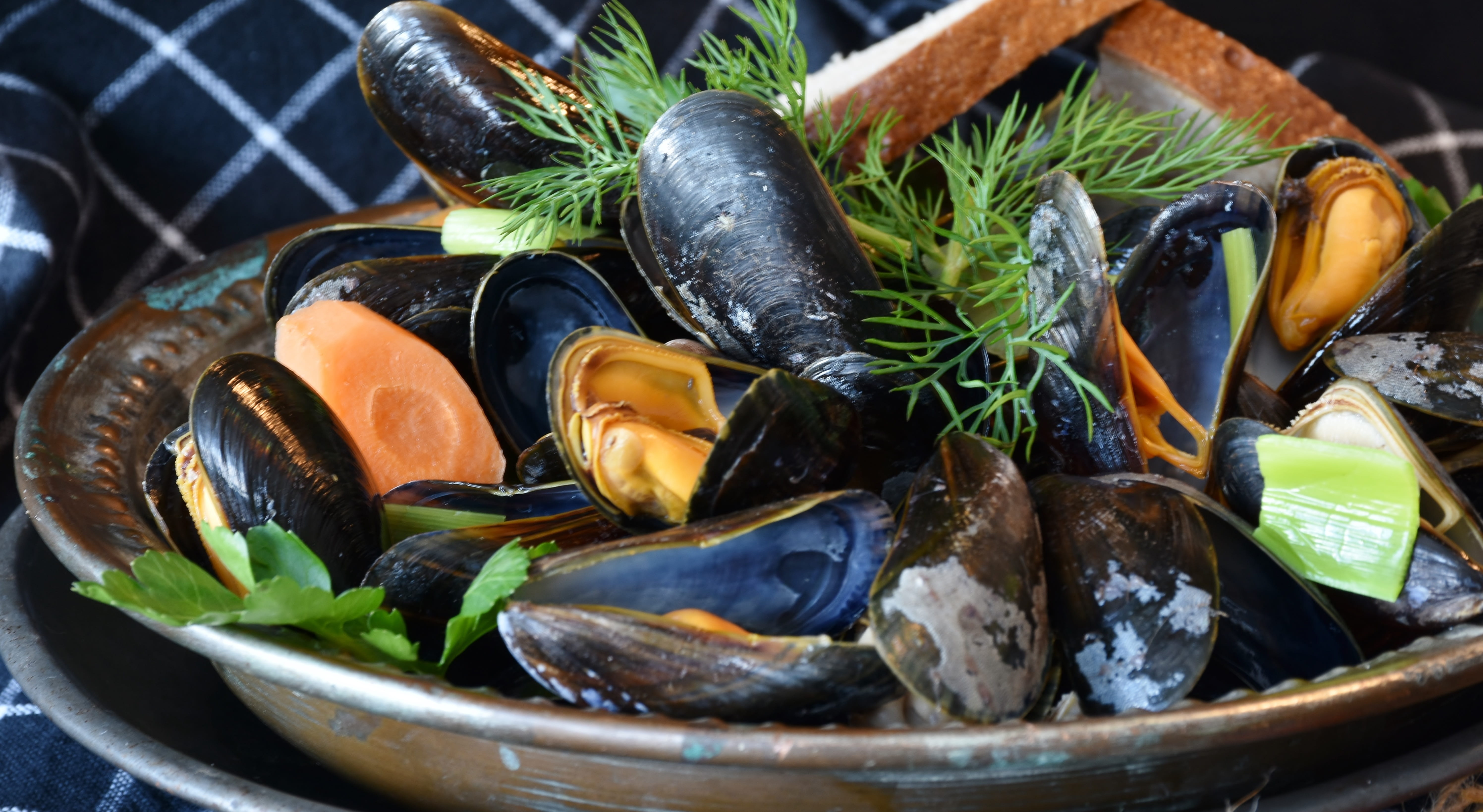 meal, crustacean, background, vegetables, herb, plate, seafood, citrus fruit, no people, feed, bread, tasteful, shell, high angle view, eat, kitchen, common mussel, HD Wallpaper