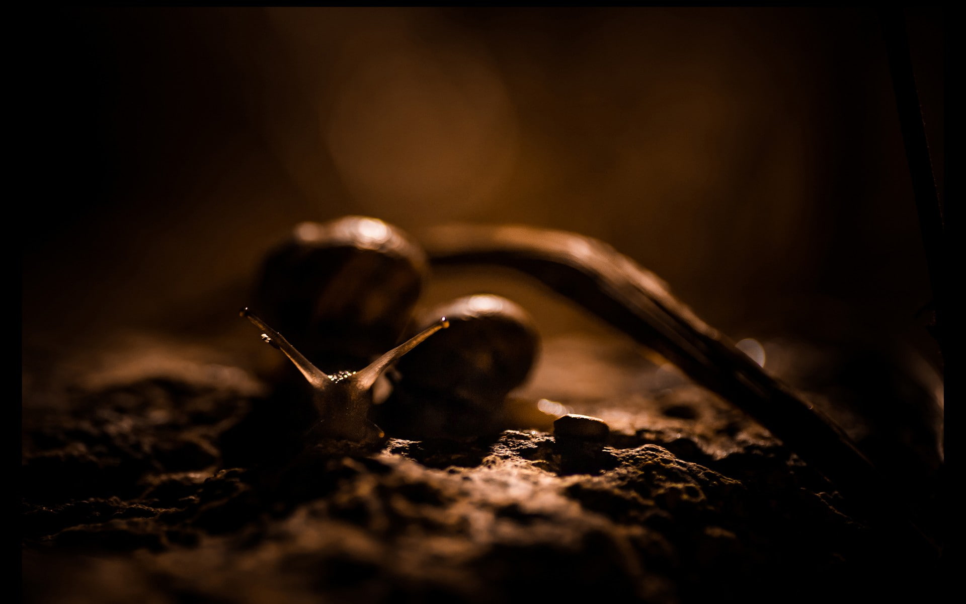 safety, still life, close-up, 1080P, security, metal, blurred, wood - material, surface level, nature, single object, day, dark, dirt, indoors, macro, HD Wallpaper