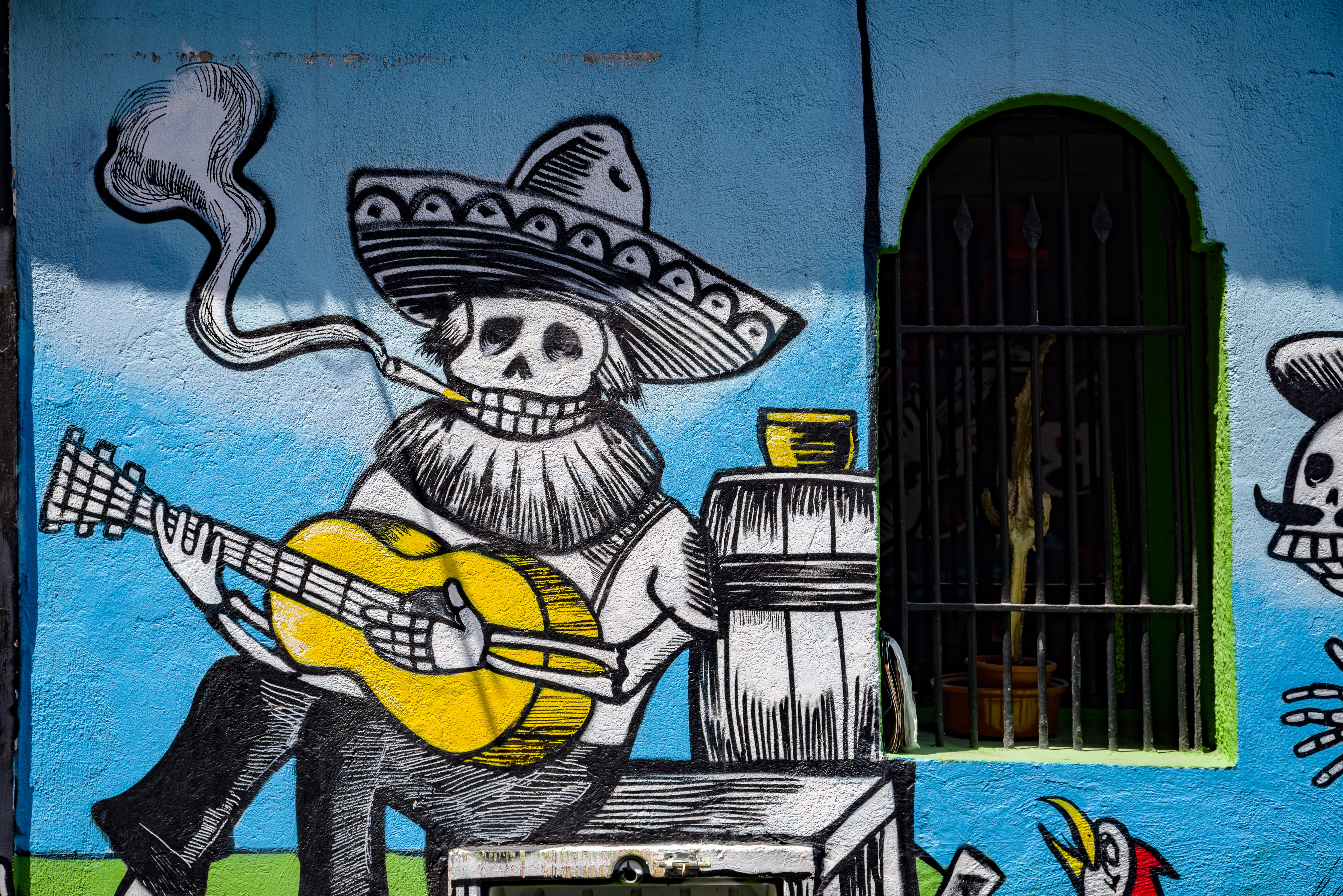 design, built structure, street art, graffiti, paint, close-up, male likeness, street, tag, 5K, wall - building feature, animal wildlife, grafitti, art and craft, HD Wallpaper