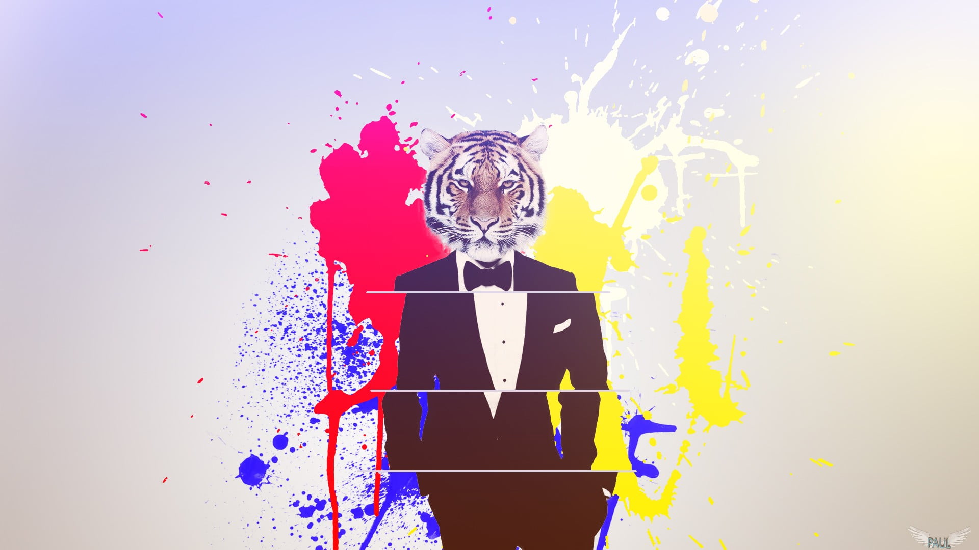 tiger, 1080P, colored background, one person, art, 2D, creativity, front view, standing, adult, portrait, splashing, blue, indoors, head, digital composite, HD Wallpaper
