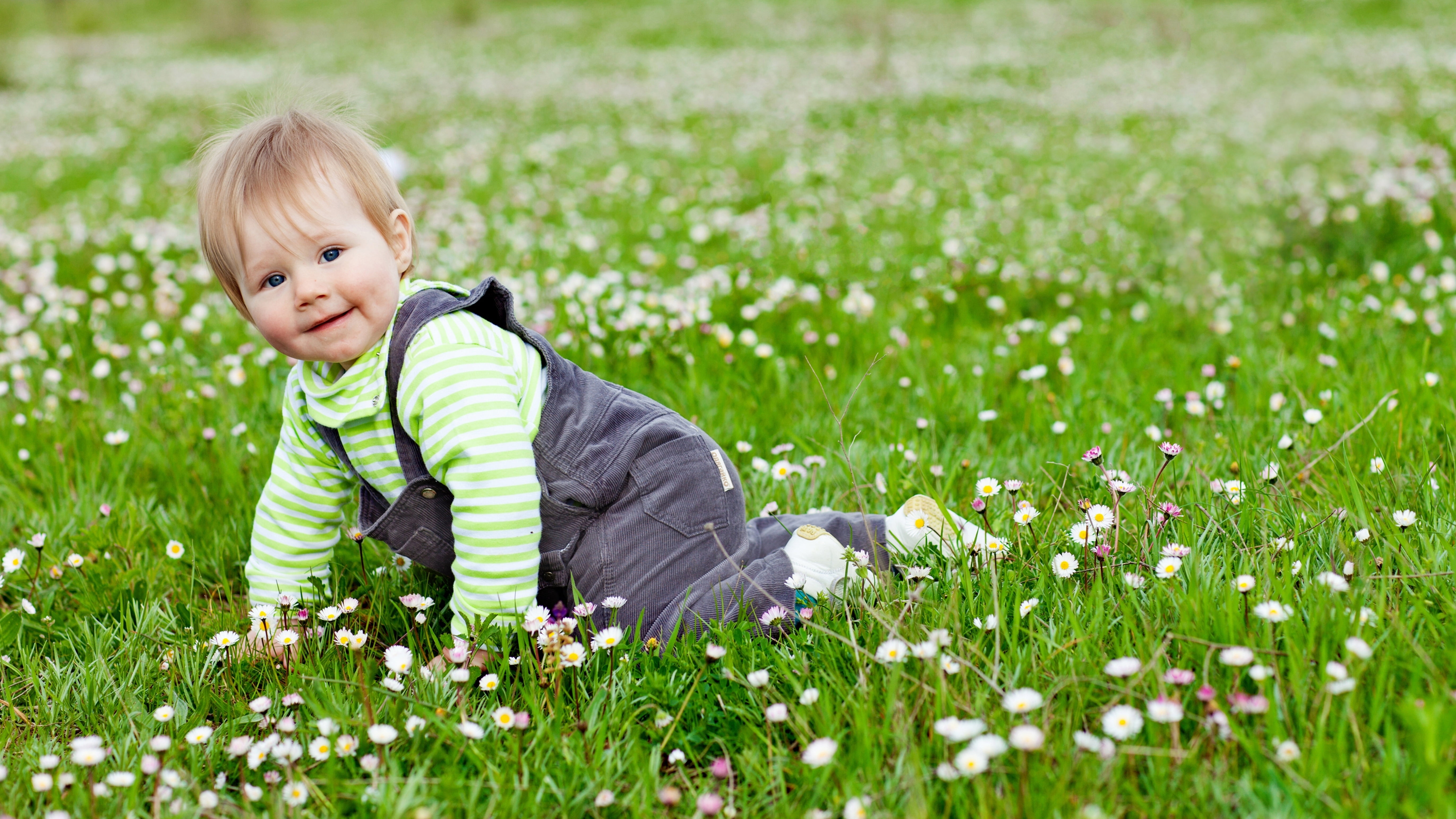 plant, day, garden, joy, field, playing, springtime, flower, park - Man Made Space, dandelion, s, people, childhood, emotion, caucasian Ethnicity, 5K, HD Wallpaper