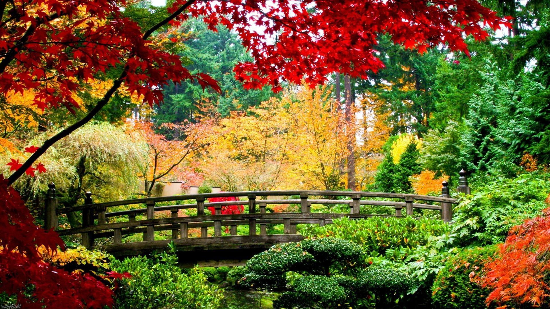 architecture, change, bridge, vegetation, landscape, autumn collection, tranquil scene, connection, leaf, built structure, orange color, red, green color, HD Wallpaper