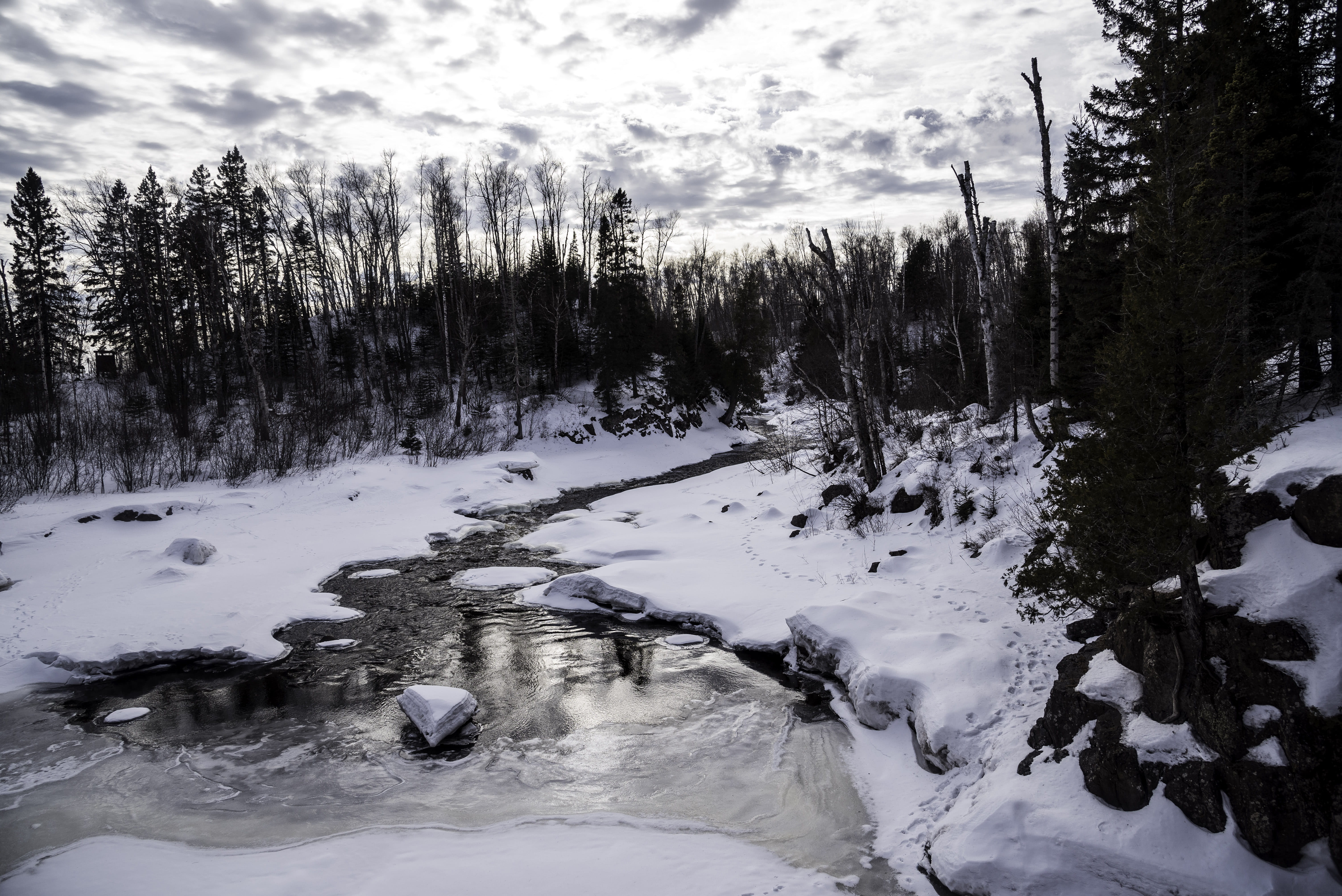 Winter, Temperance River State Park, river, no people, photos, cold temperature, public domain, covering, plant, cold - Temperature, United States, beauty in nature, HD Wallpaper