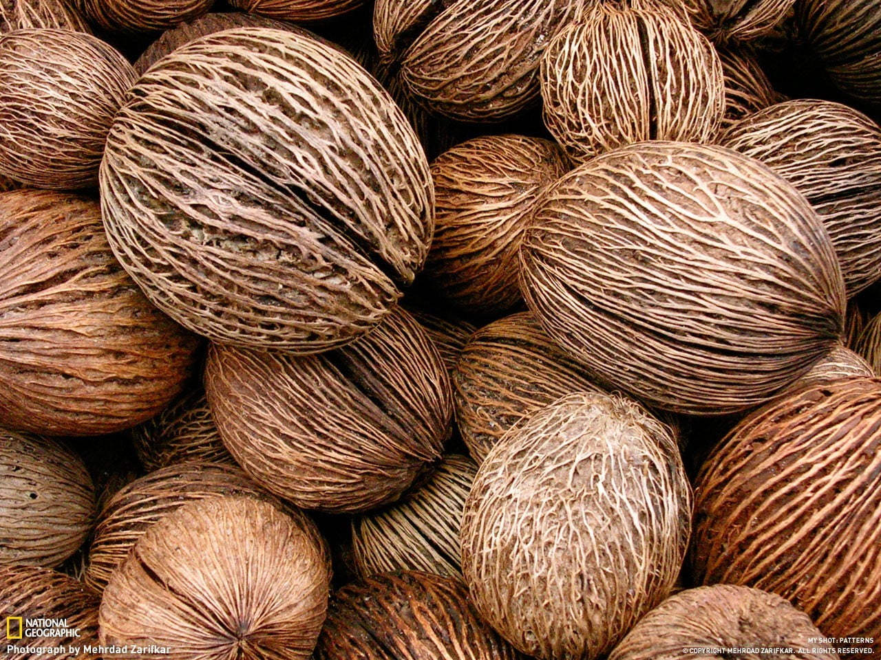outdoors, shells, still life, market, day, 720P, repetition, heap, abundance, backgrounds, shape, pattern, photography, coconut, brown, closeup, food, HD Wallpaper