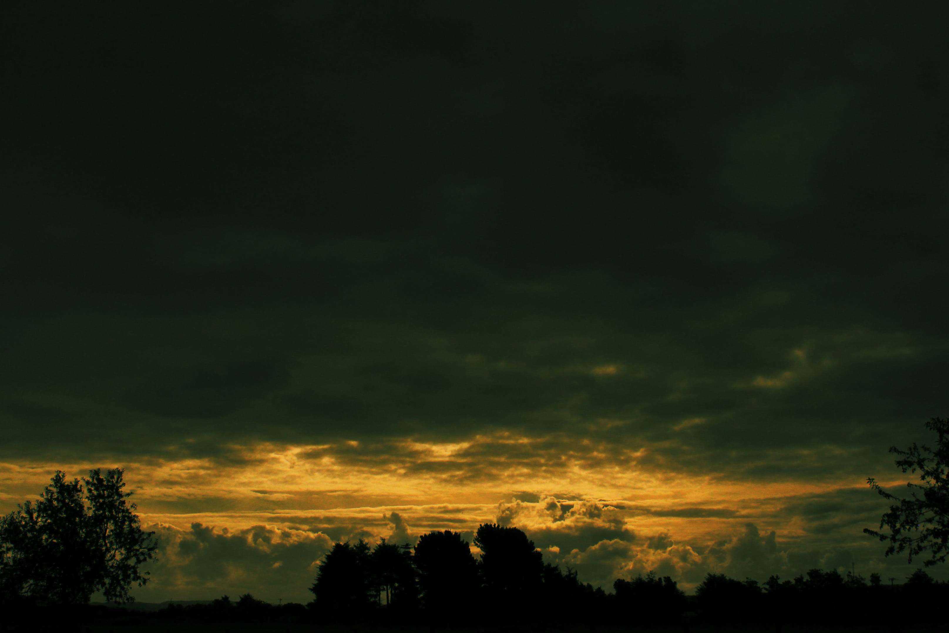 outdoors, storm, sundown, clouds, ancud, sky, biodiversidad, native forest, plant, patagonia, cloud - sky, chile, non-urban scene, growth, idyllic, sunset, HD Wallpaper