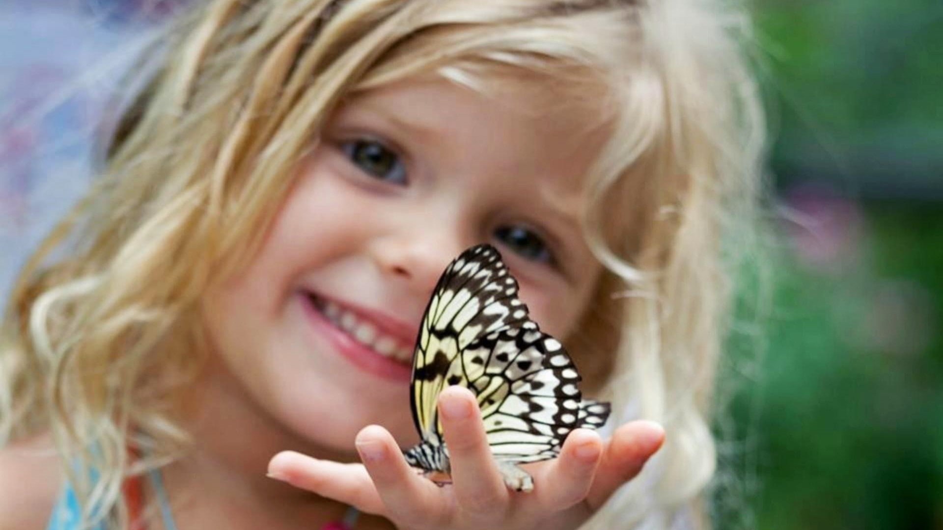children, butterfly, 1080P, smiling, little girl, blonde, HD Wallpaper