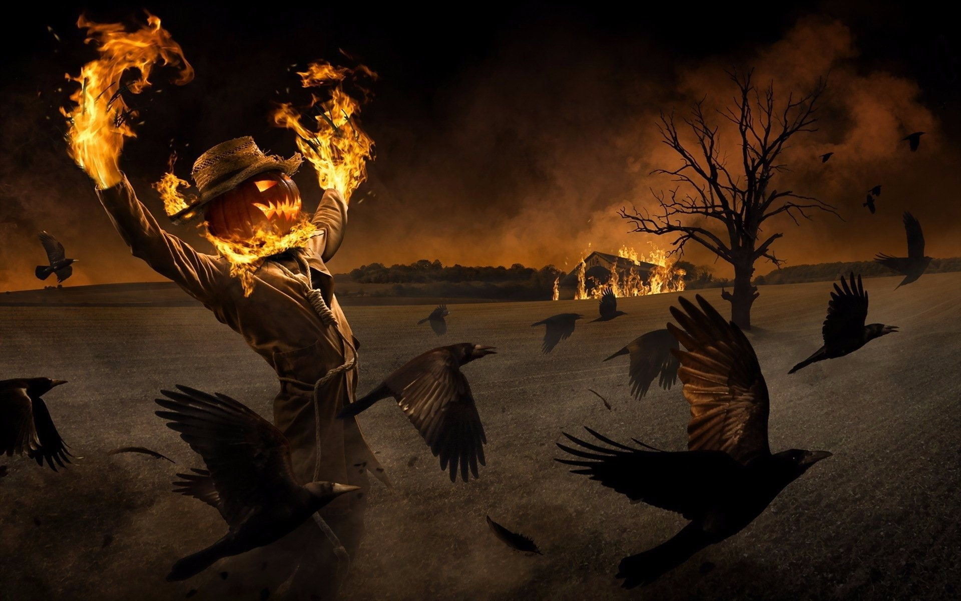 Halloween, Pumpkin, Scarecrow, Night, Fire, Raven, Holiday, 1080P, HD Wallpaper