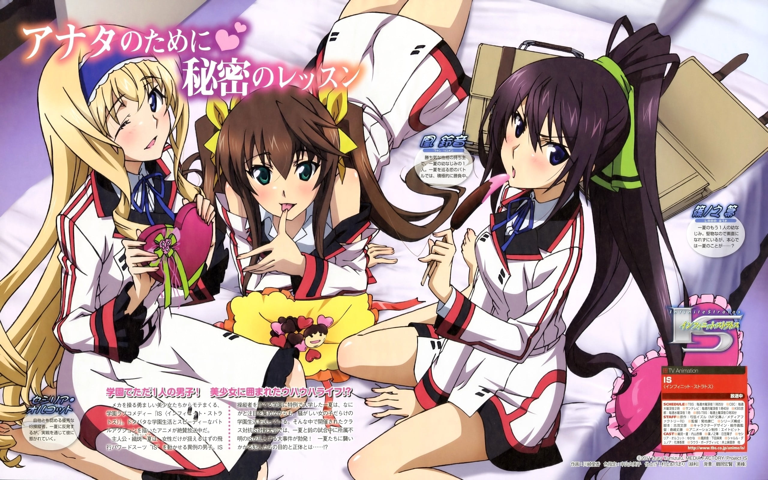 representation, art and craft, s, indoors, assorted, Infinite Stratos, manga, mask, no people, female likeness, leisure activity, clothes, disguise, human representation, HD Wallpaper