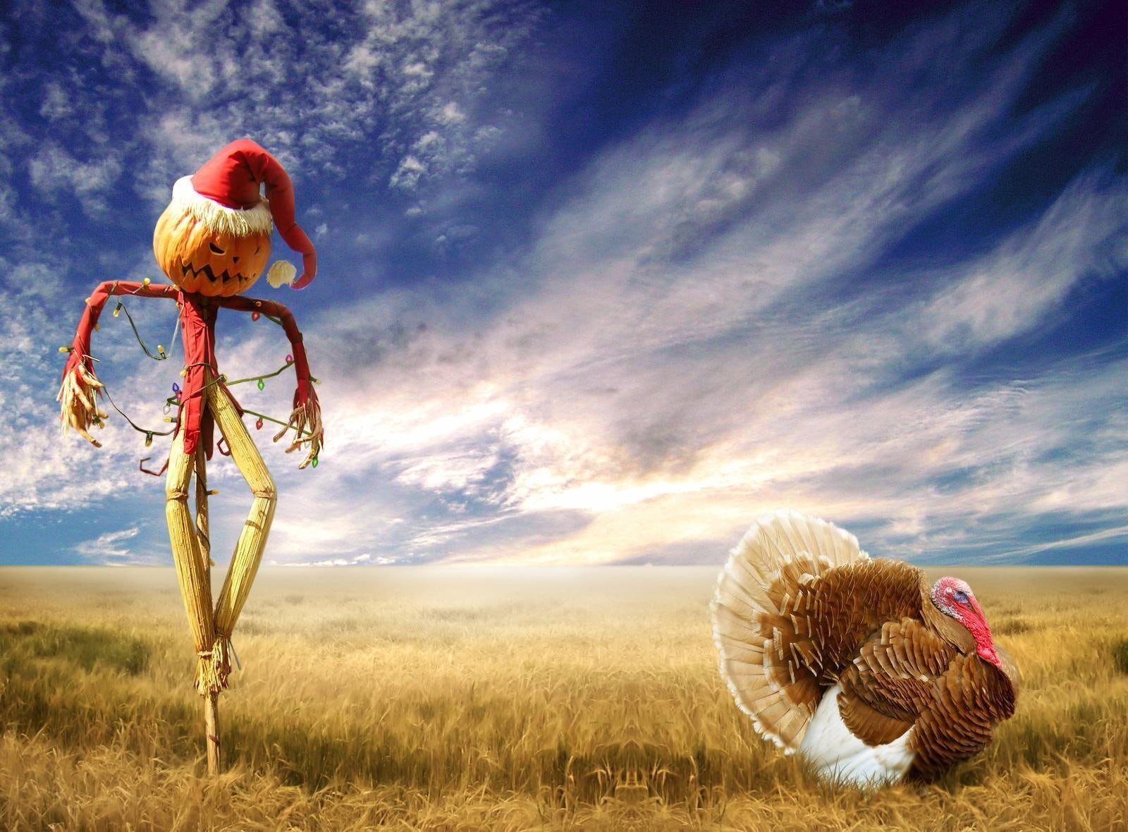 turkey, halloween, holiday, scarecrow, sky, 720P, HD Wallpaper