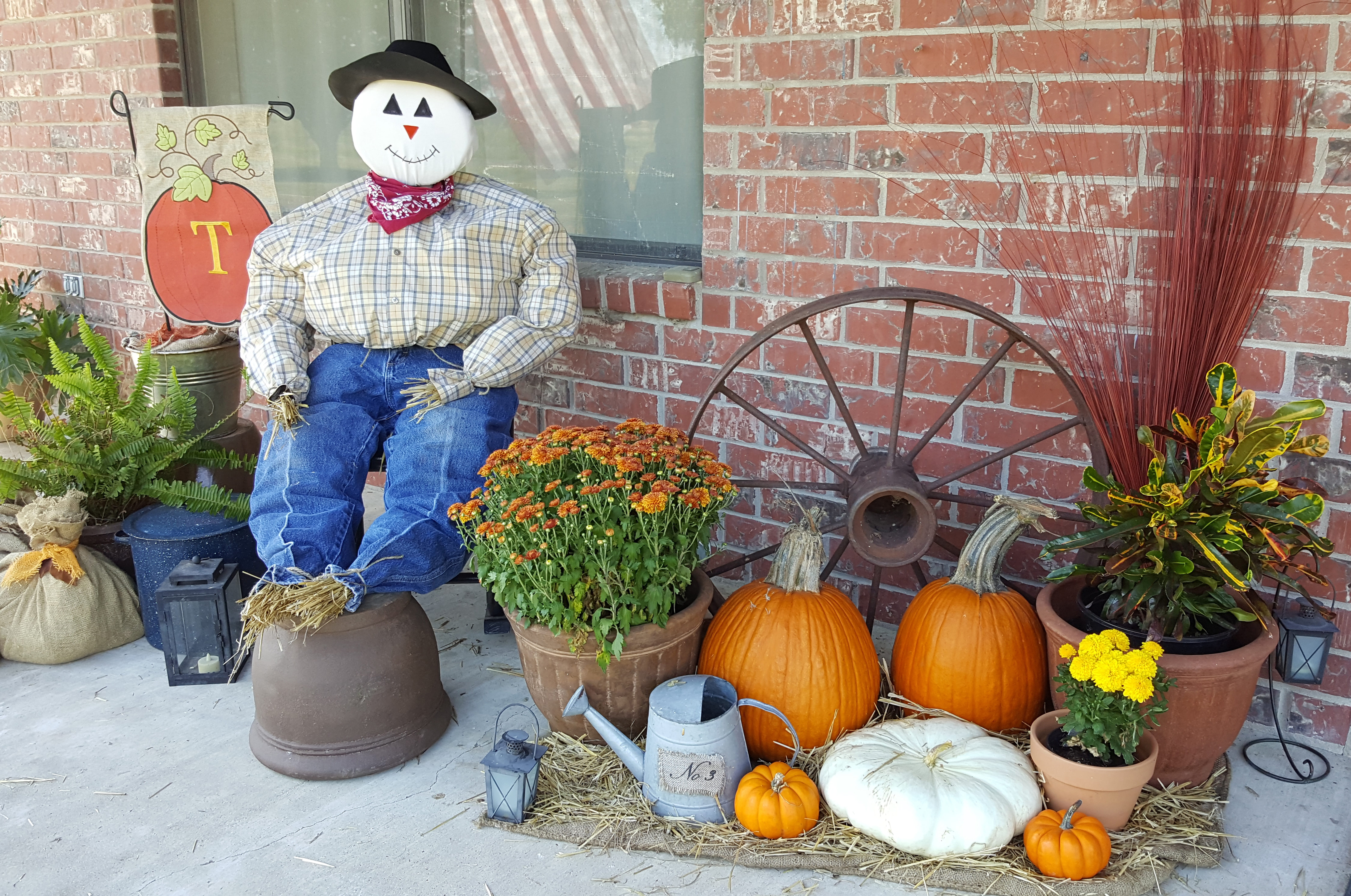 fall, nature, autumn, one person, orange, plant, halloween, representation, 8K, human representation, curb appeal, scarecrow, day, front or back yard, HD Wallpaper