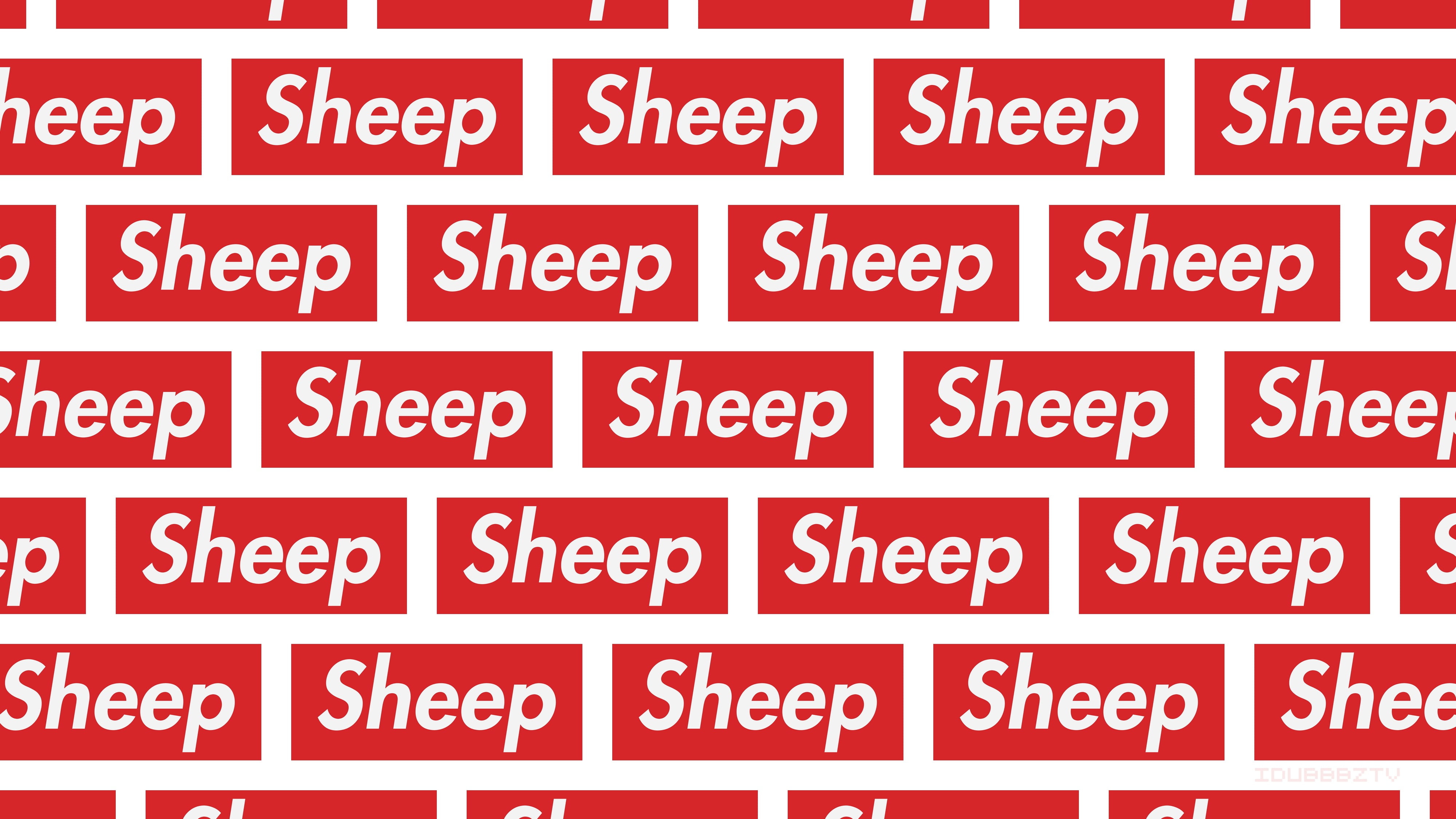 4K, abundance, message, humor, text, large group of objects, western script, full frame, sheep, script, number, order, communication, food, no people, HD Wallpaper