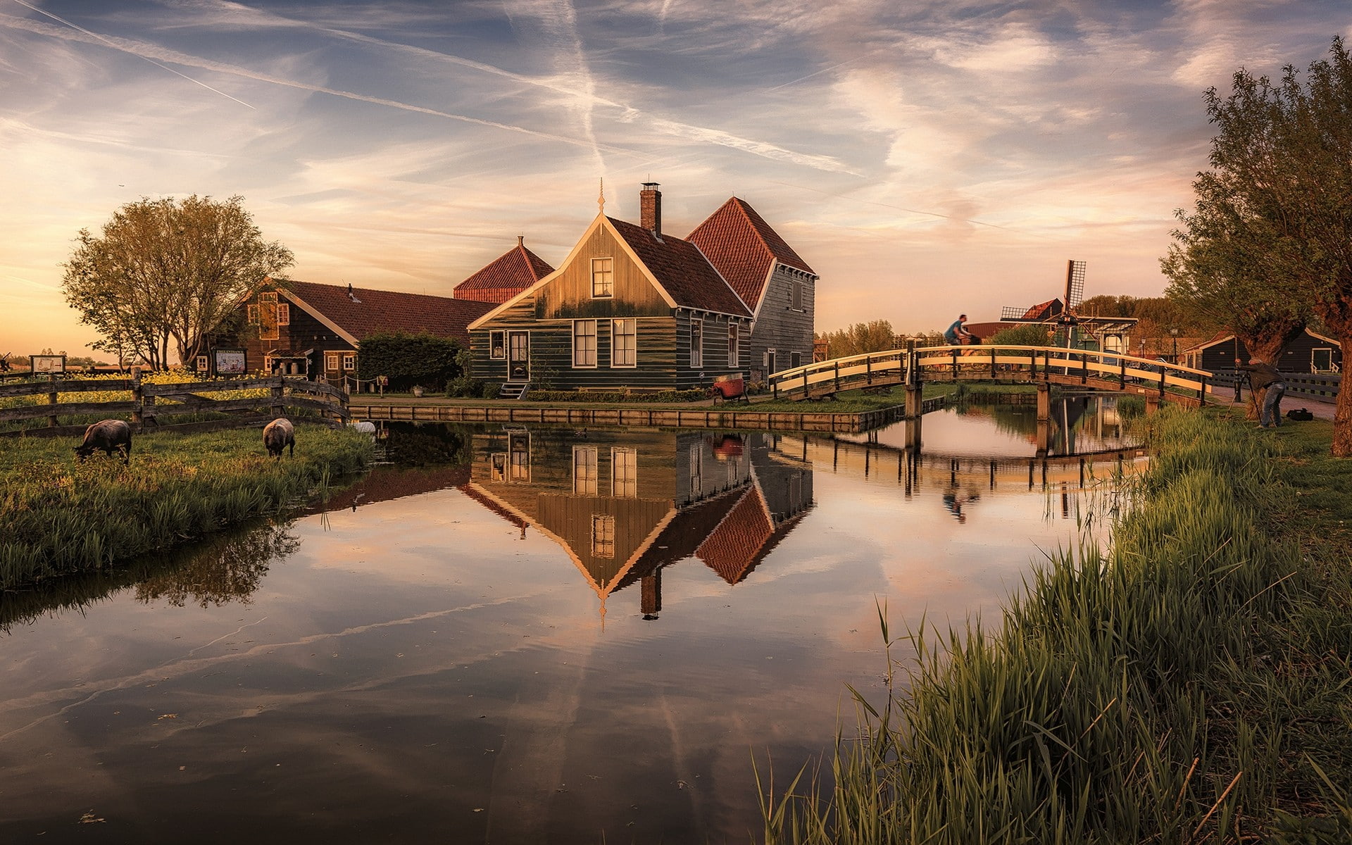 windmill, 1080P, grass, clouds, landscape, house, reflection, Netherlands, sunset, bridge, nature, sheep, canal, Zaanse Schans, water, fence, trees, HD Wallpaper