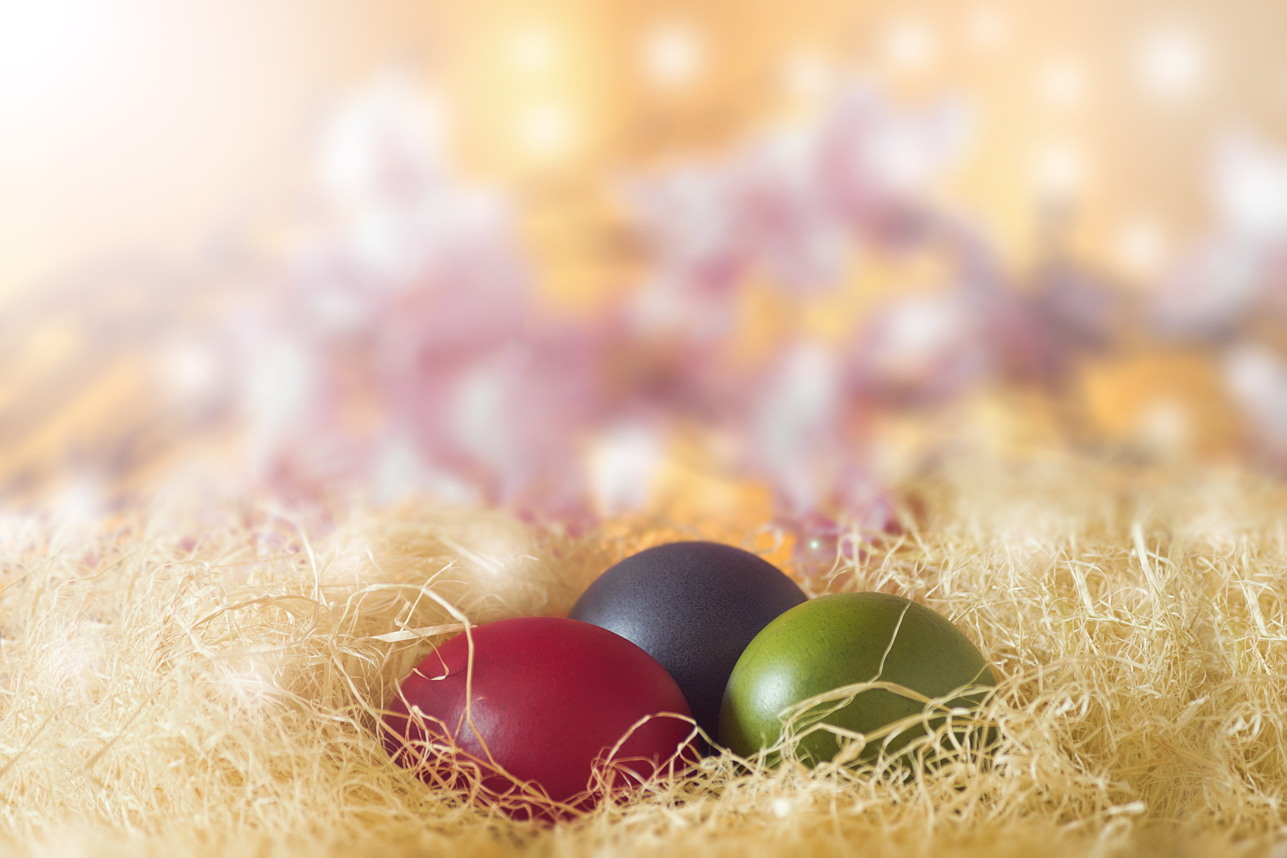spring, design, easter, 5K, egg, yellow, banner, symbol, card, close-up, traditional, holiday, painted, green, decorative, animal egg, colorful, beginnings, HD Wallpaper