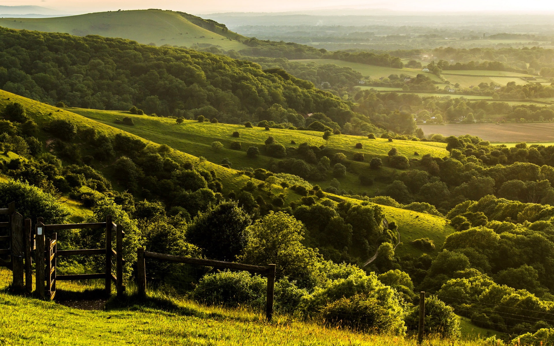 Farm, 1080P, Trees, England, Green, West, Sussex, Hills, tree, Pyecombe, HD Wallpaper