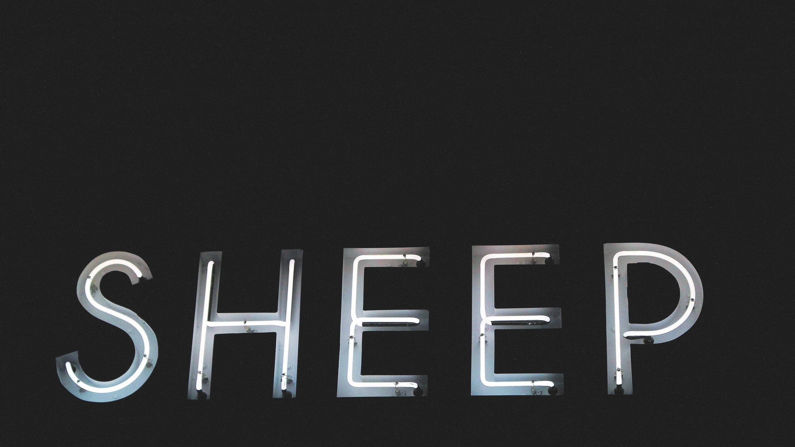sheep, neon, neon sign, 2K, HD Wallpaper